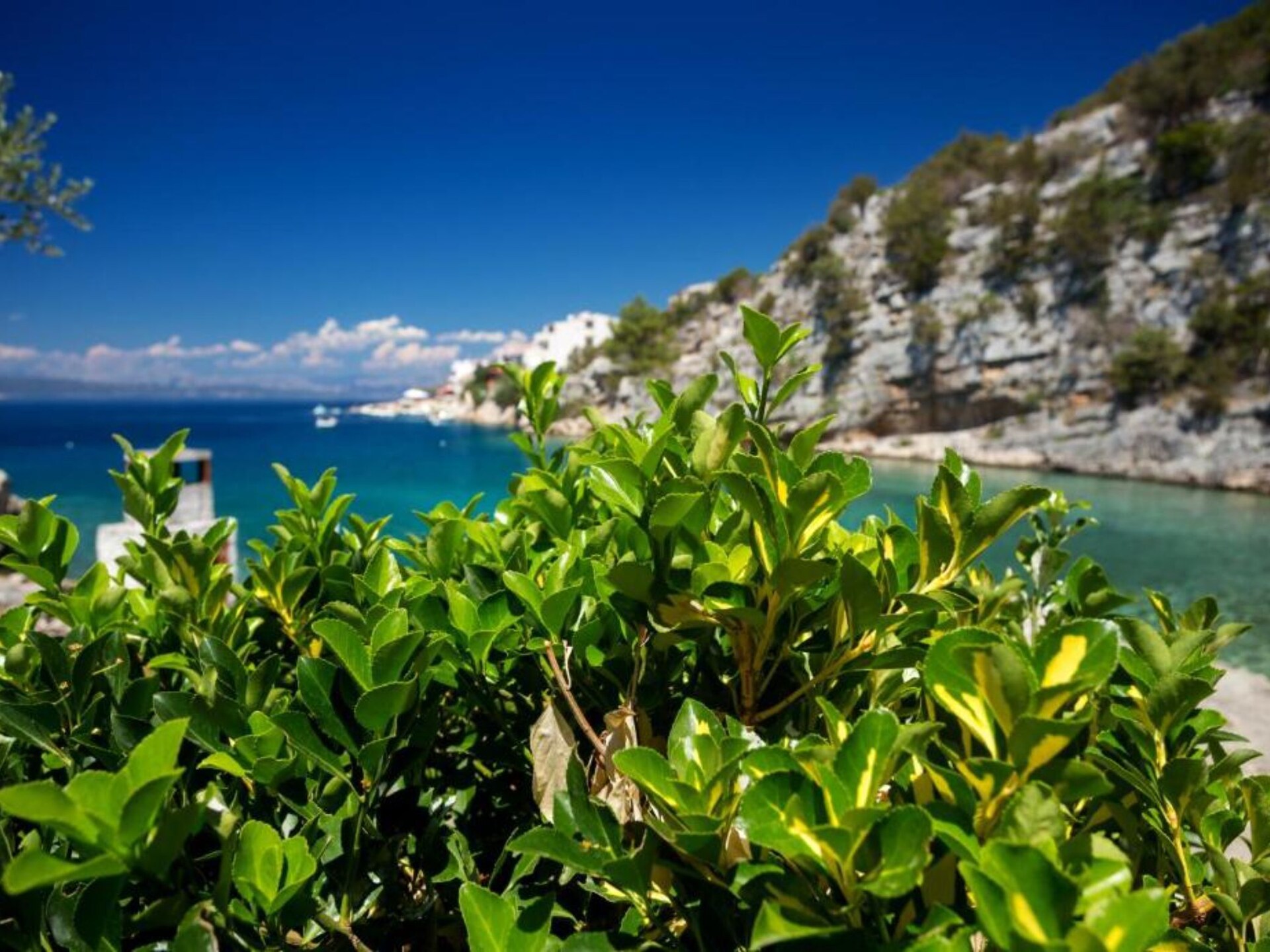 Vakantiehuis Jadranko: Direct aan Zee in Afgelegen Baai op Hvar - foto 45