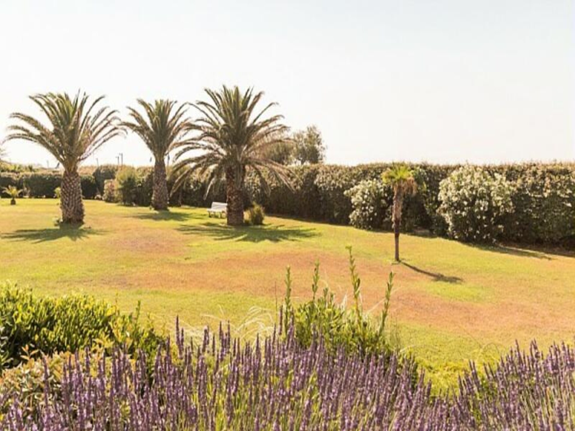 Appartement 6p met zeezicht, direct aan strand Agde - foto 4