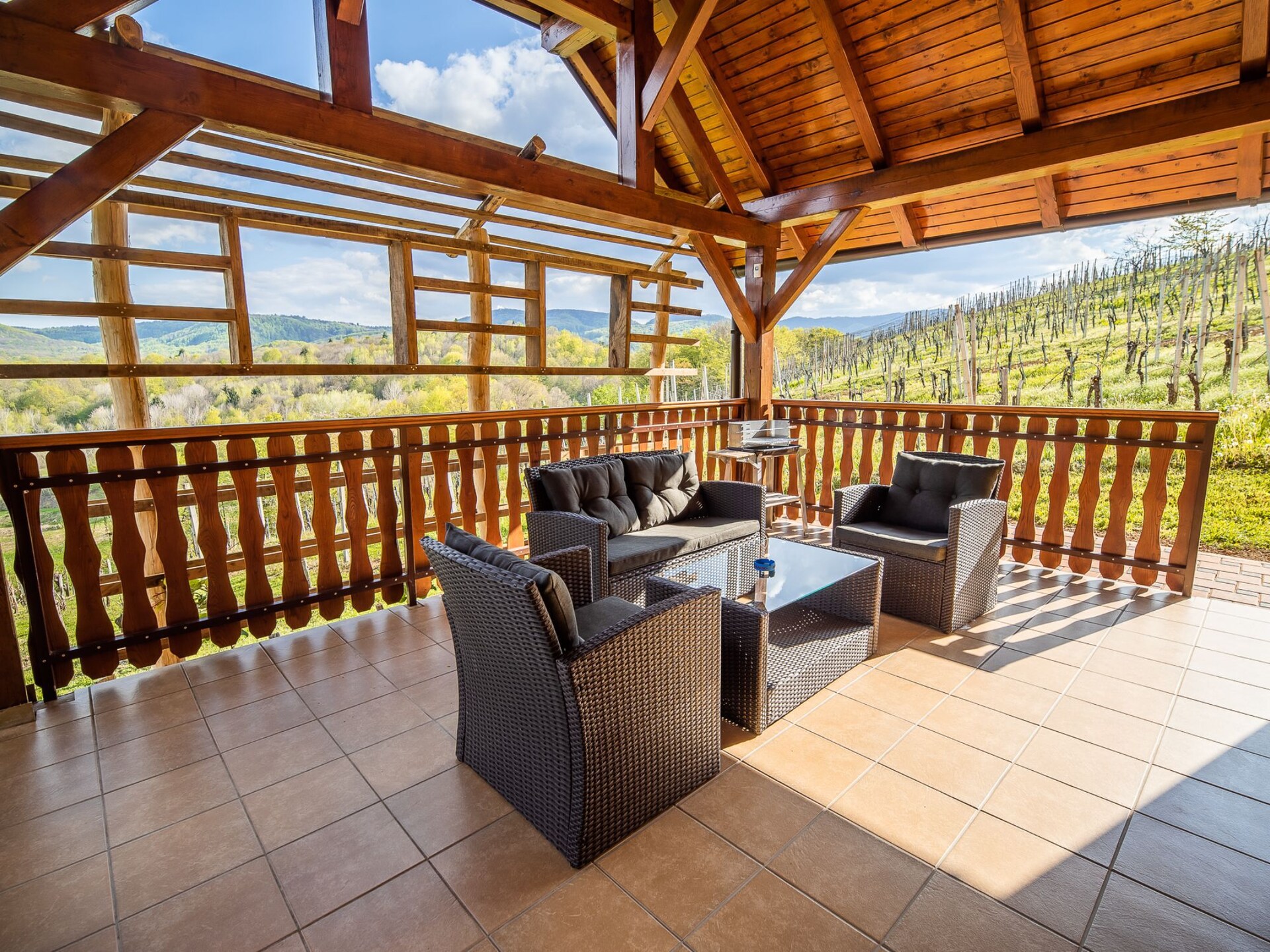 Authentiek Sloveens vakantiehuis tussen wijngaarden bij de Krka rivier - foto 34