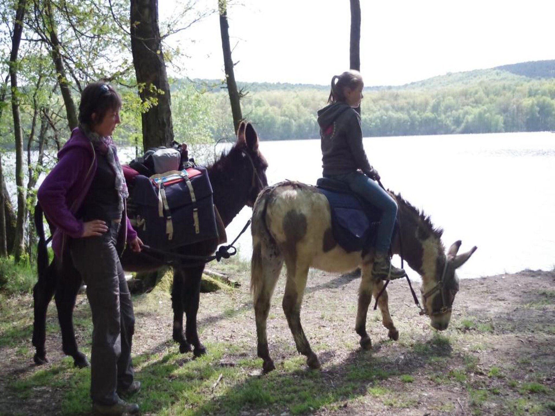 Stardust 40 Family Lodge: Glamping in de Franse Ardennen voor 5 personen - foto 19