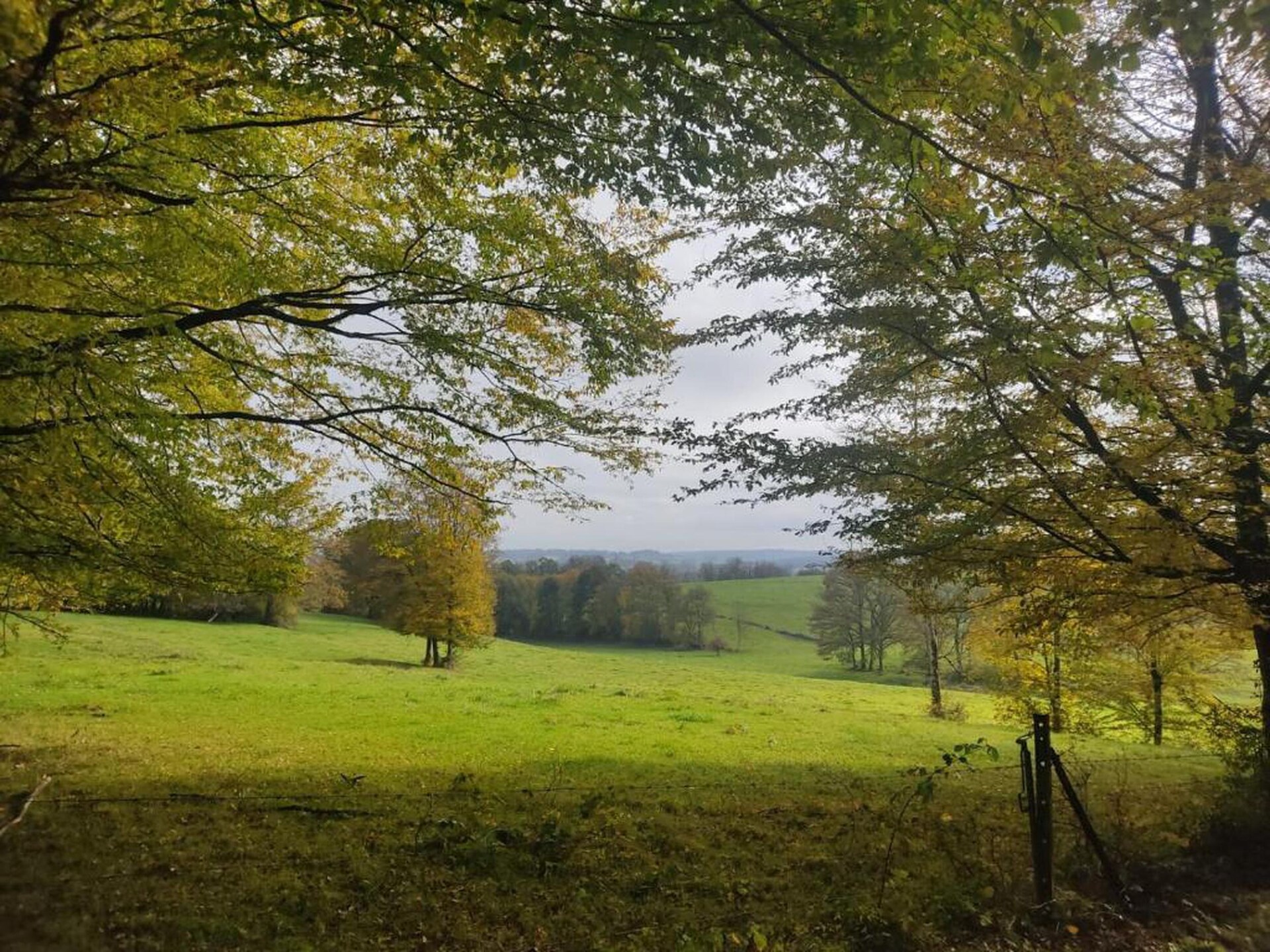 Stardust 40 Family Lodge: Glamping in de Franse Ardennen voor 5 personen - foto 26
