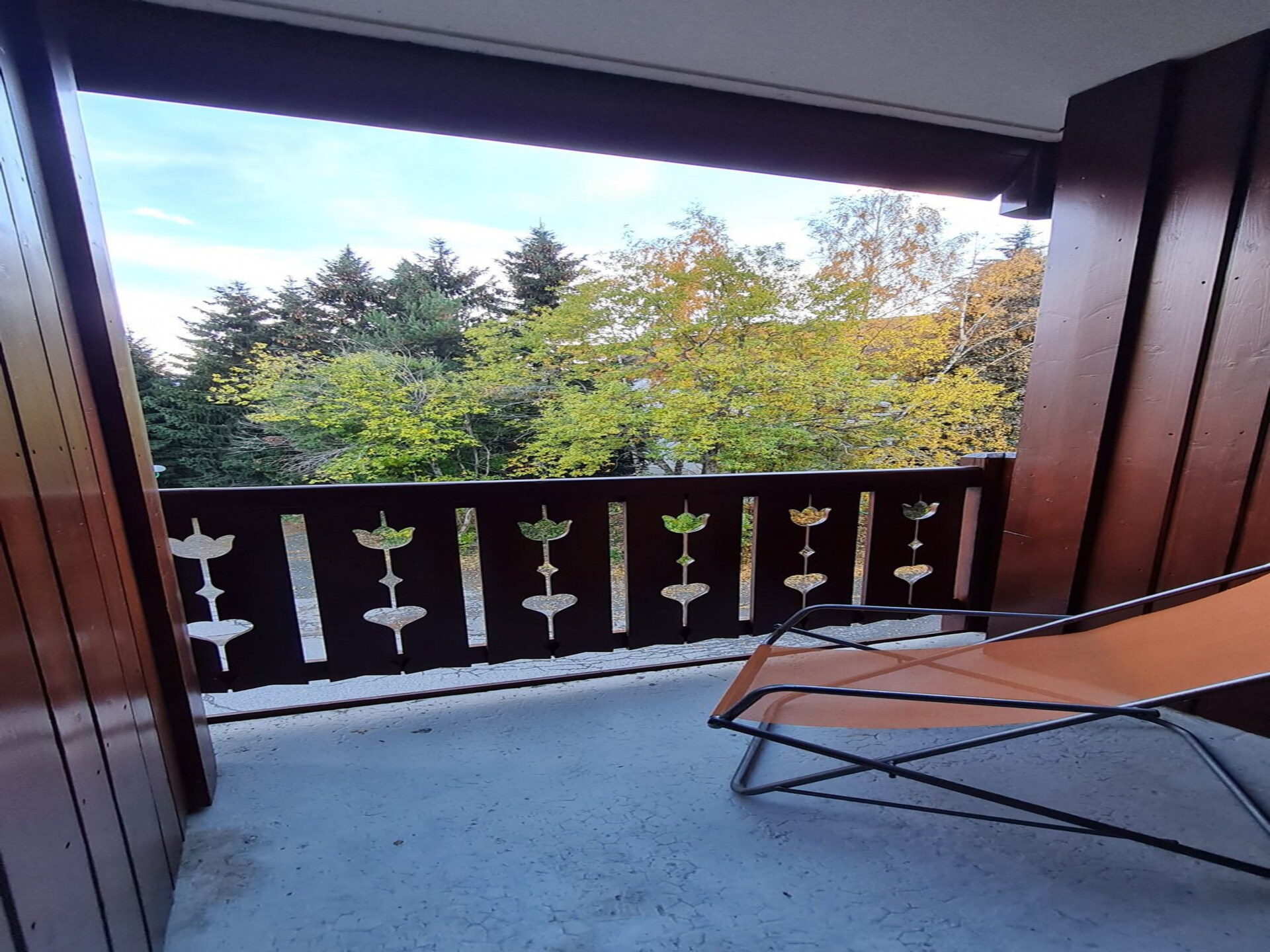 Aan de piste: Comfortabel appartement in Les Deux Alpes · 4 pers. - foto 6