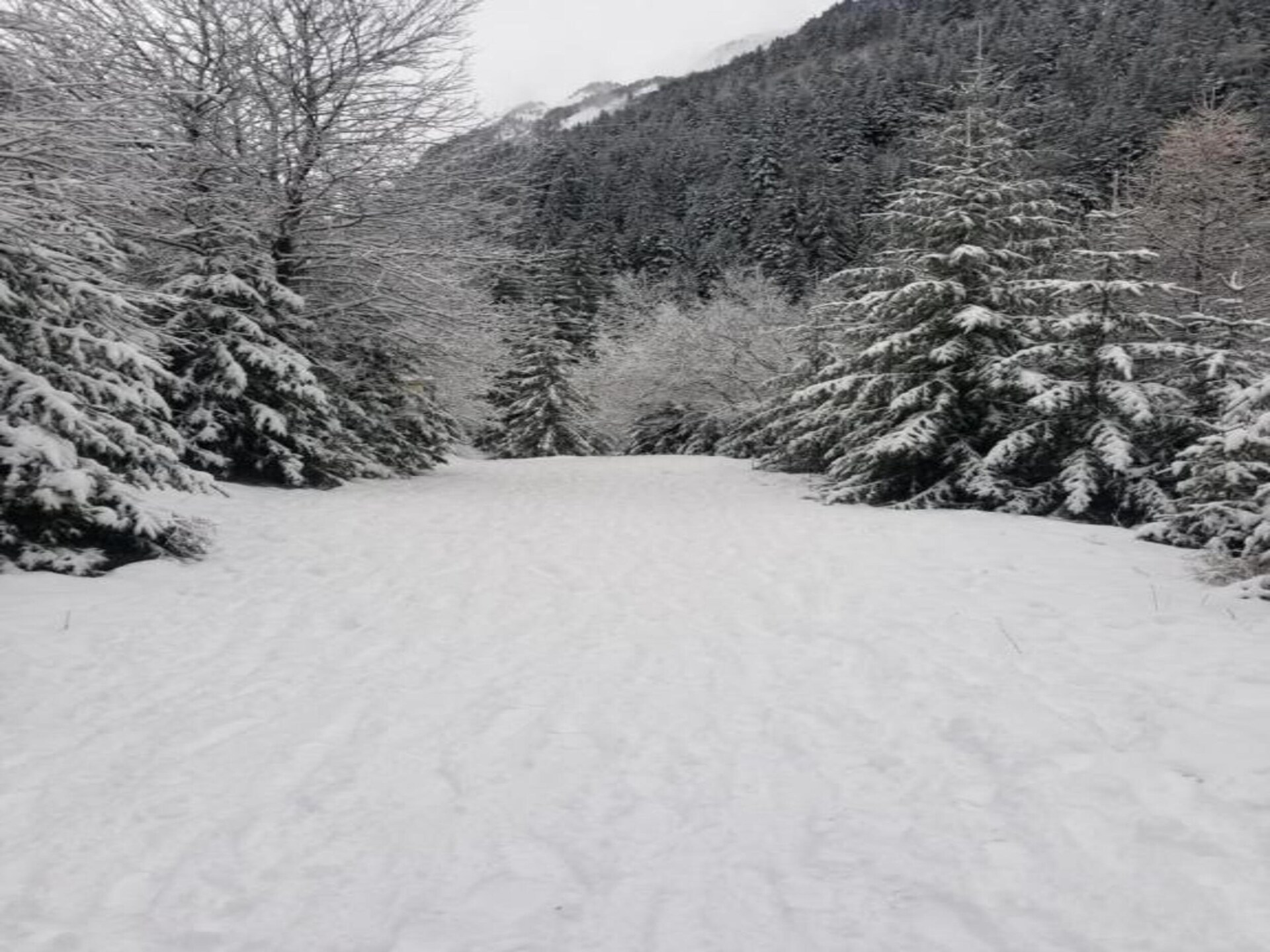 Ski-appartement La Turra 301: direct aan de piste in Modane, 6 pers. - foto 37