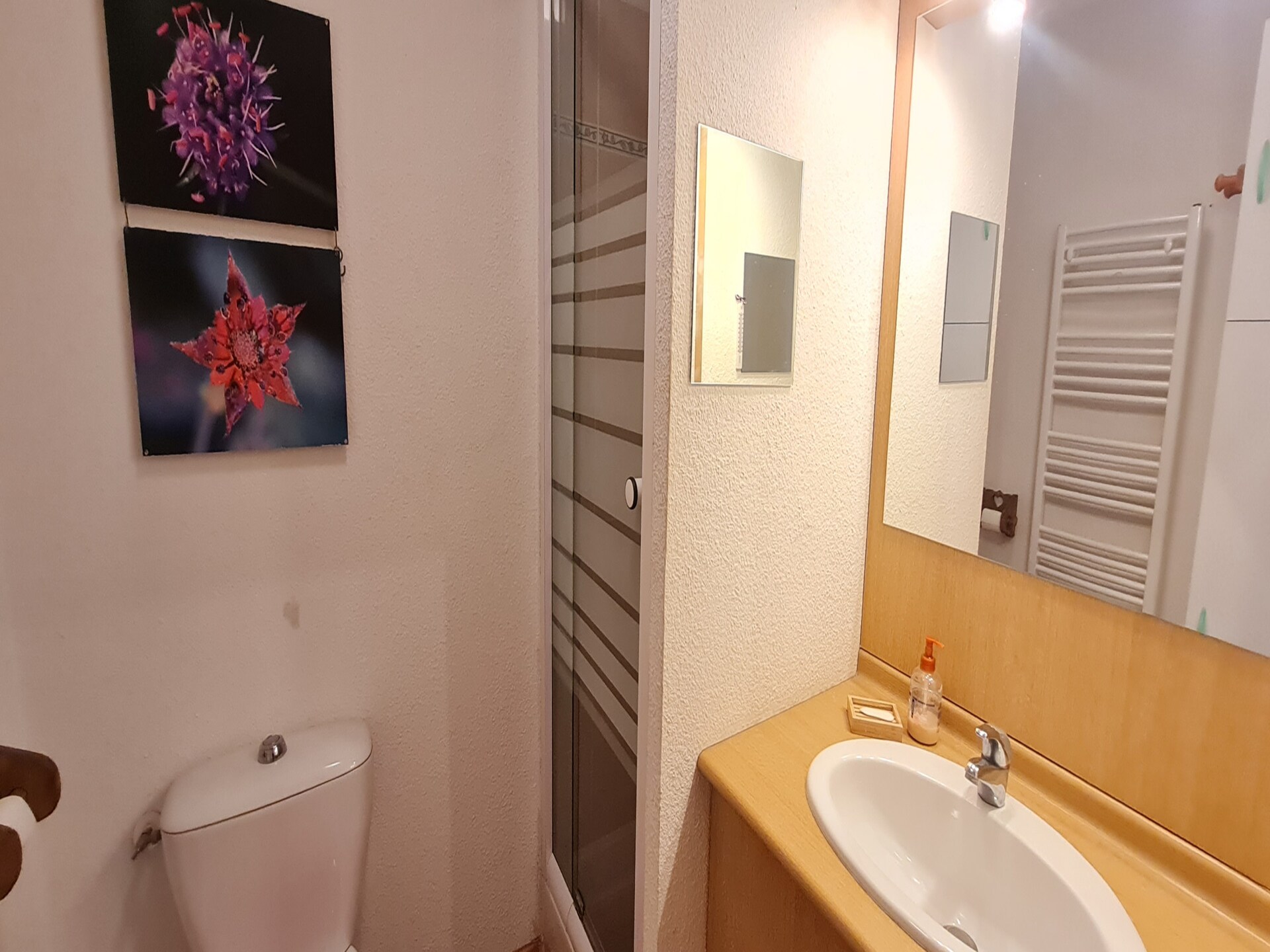 5-persoons appartement aan de piste in Les Deux Alpes - foto 8