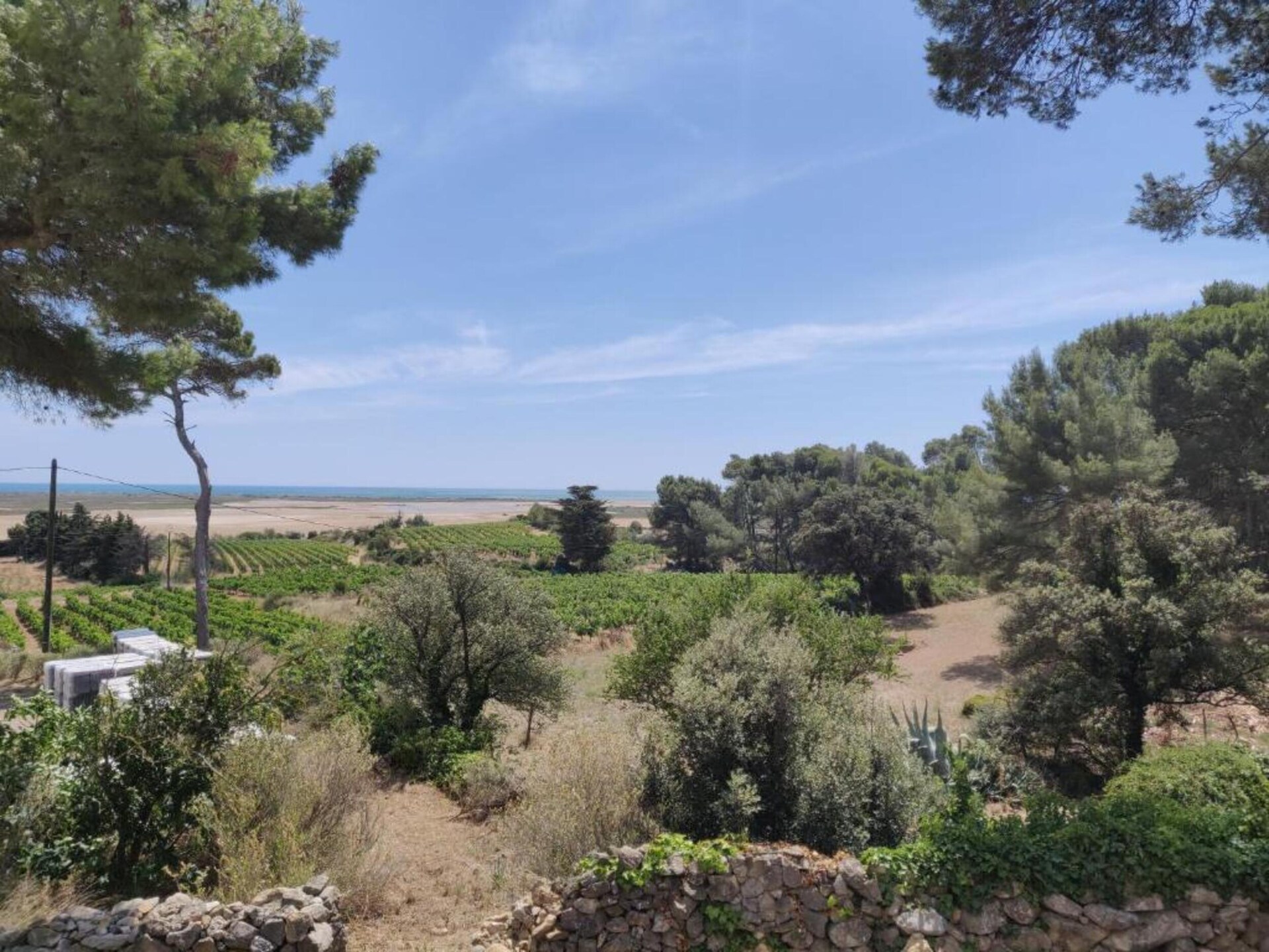 Op 450 m van het strand: Comfortabele villa in Valras-Plage - foto 39