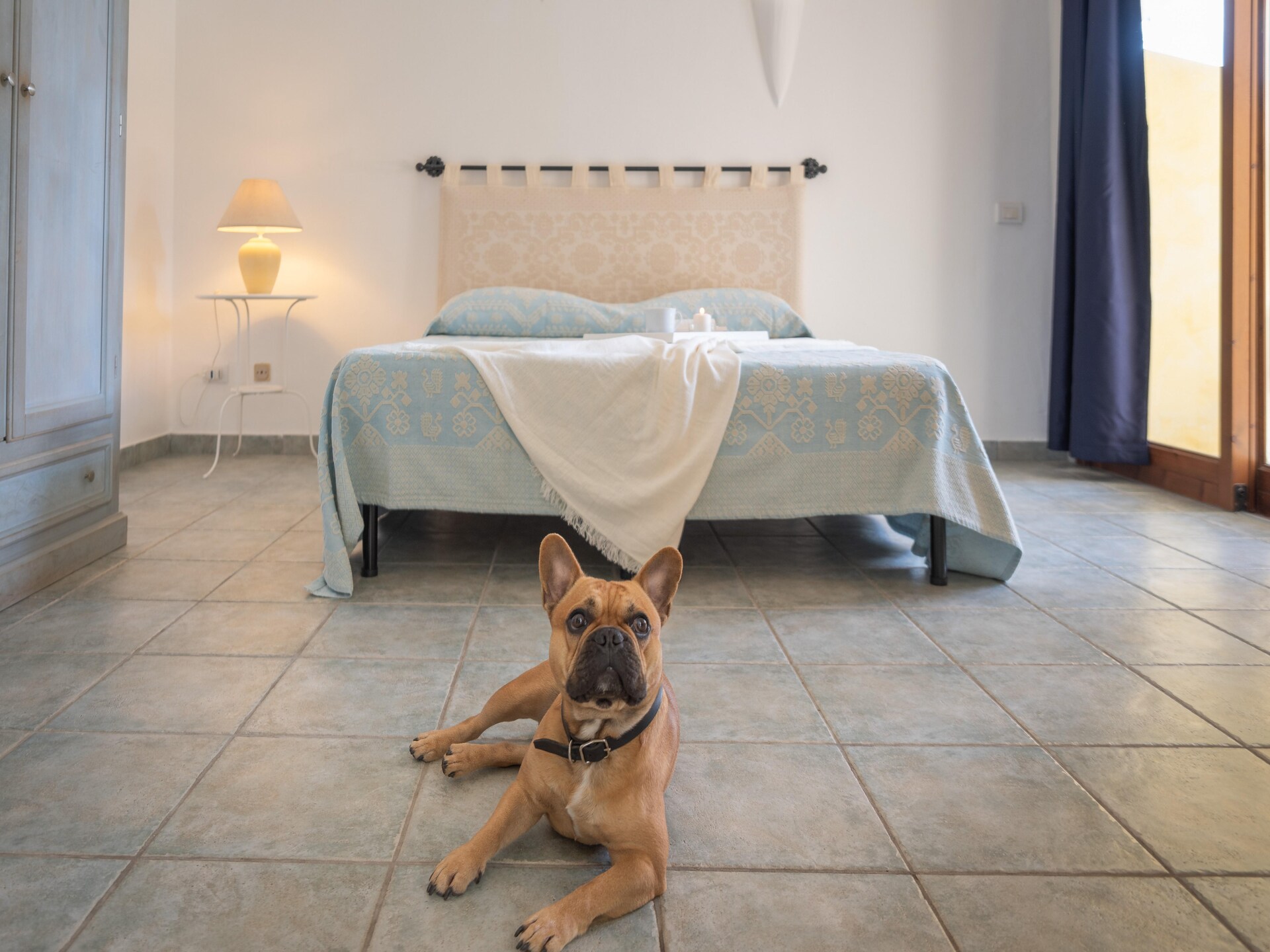 2-persoons appartement aan zee in het centrum van Palau - foto 18