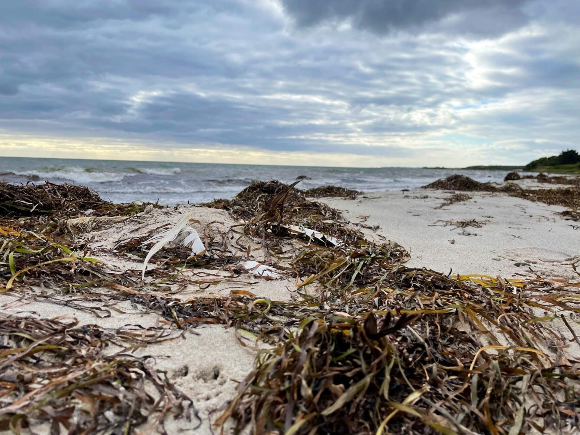Vrijstaand vakantiehuis op 150m van strand Ore Strand, Denemarken - foto 12