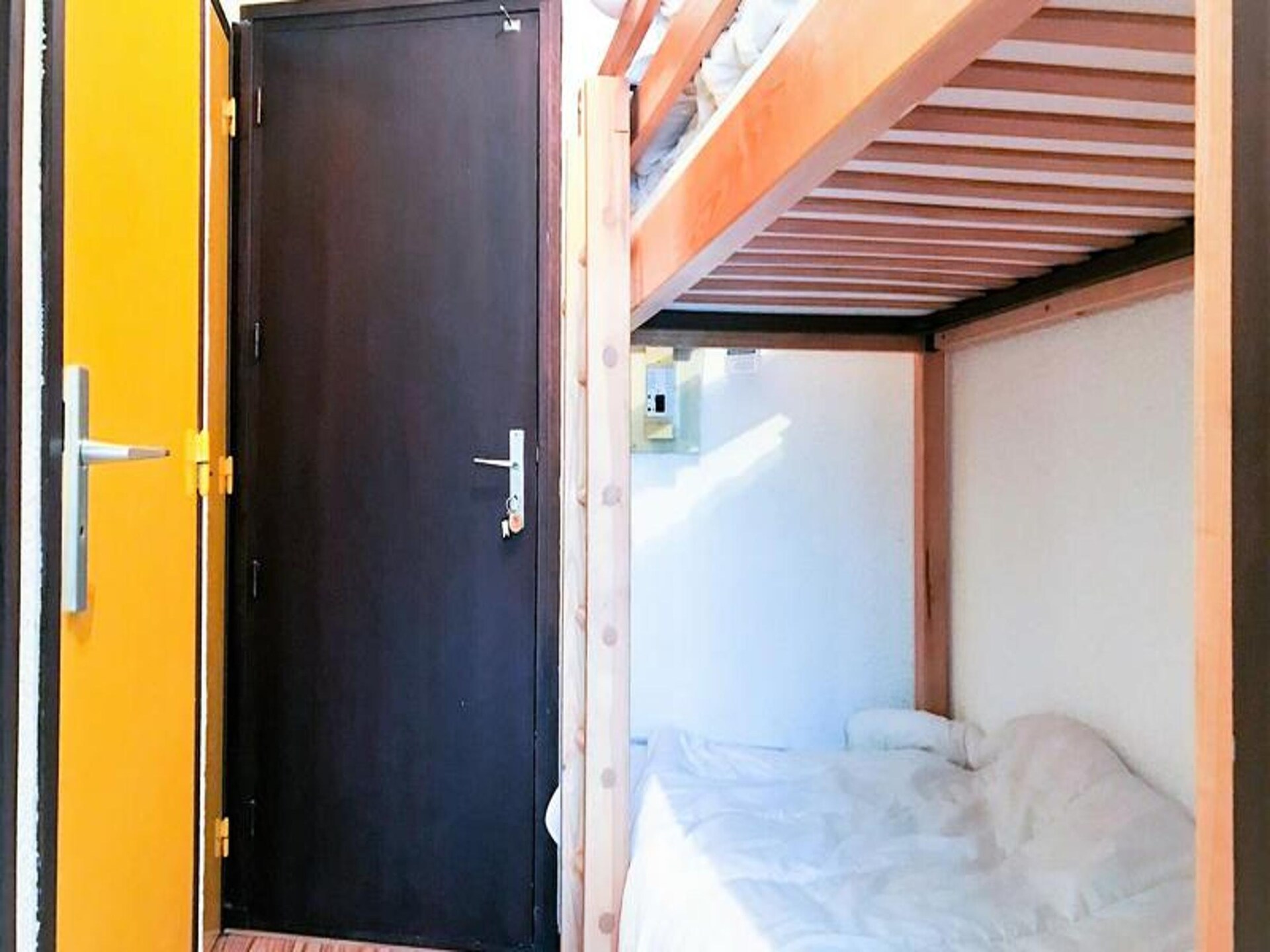 Lichte studio op 100m van de piste met uitzicht in Vénosc - foto 13
