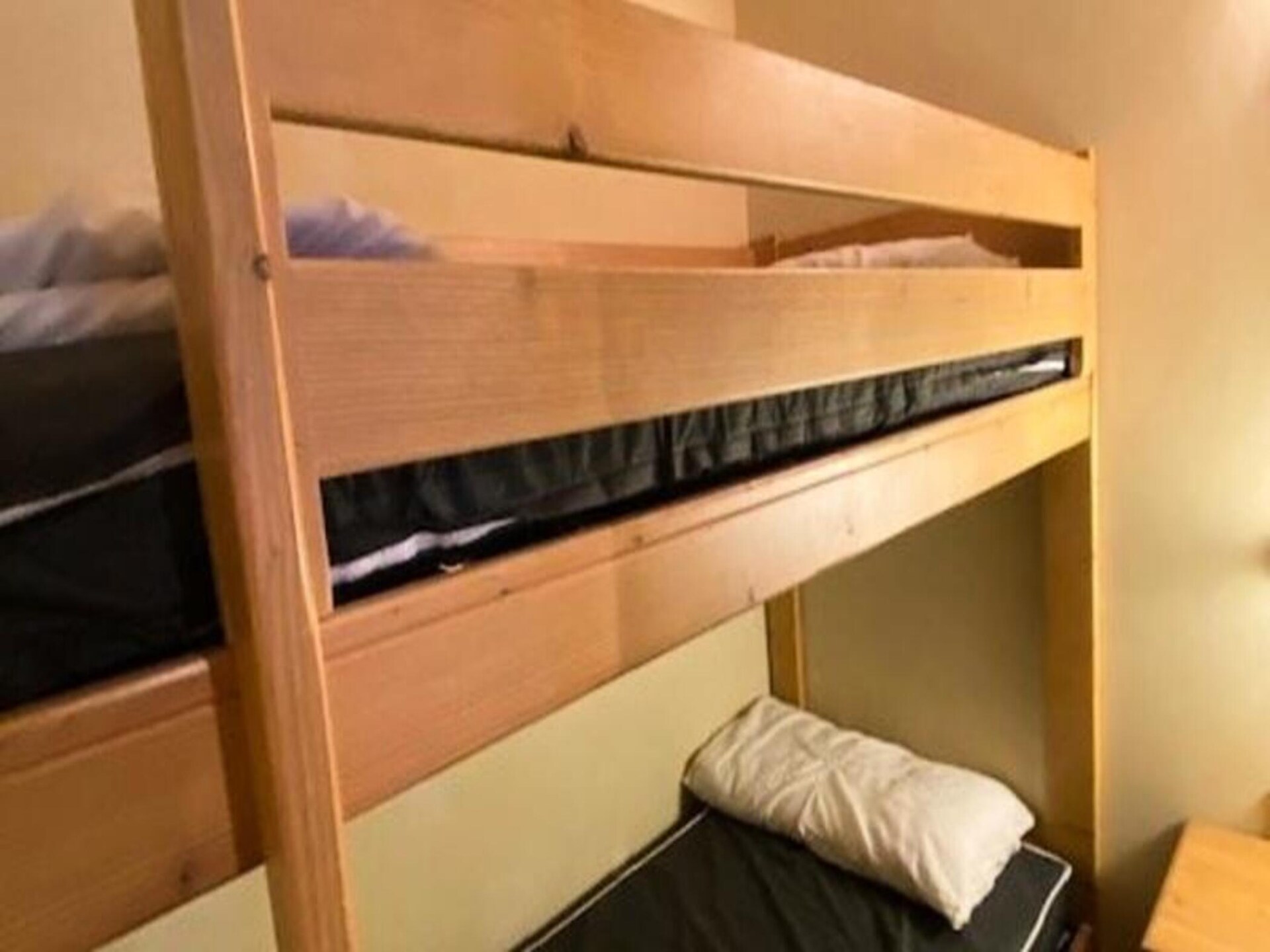 Ruim 6-persoons appartement met bergzicht en directe piste-toegang in Vénosc - foto 11