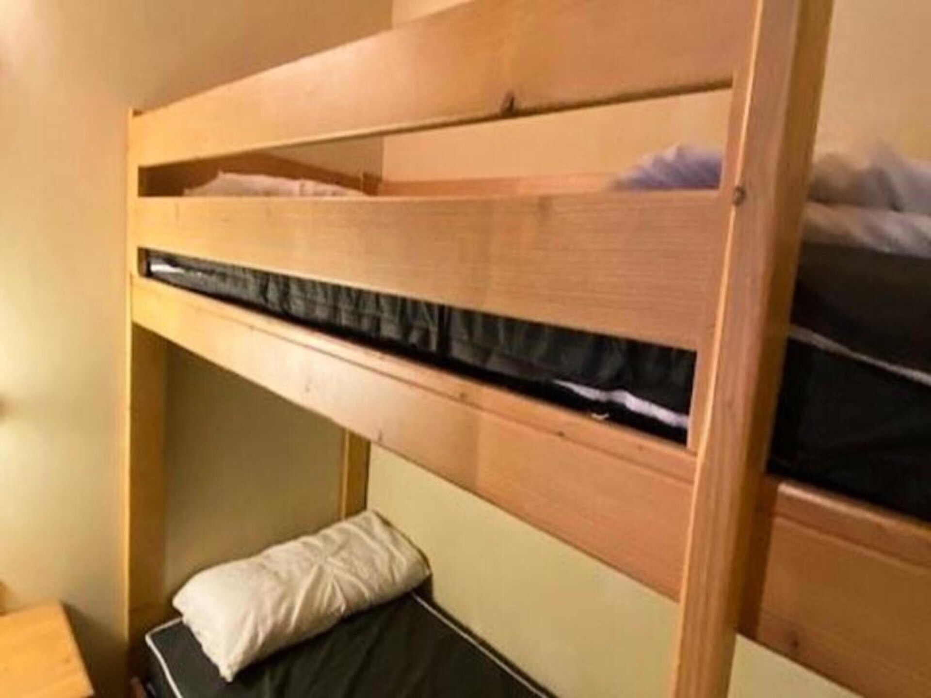 Ruim 6-persoons appartement met bergzicht en directe piste-toegang in Vénosc - foto 13