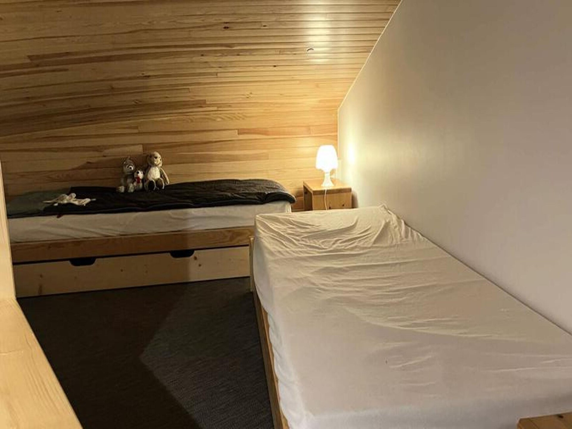 Knus gerenoveerd appartement direct aan de piste in Valmorel - foto 11