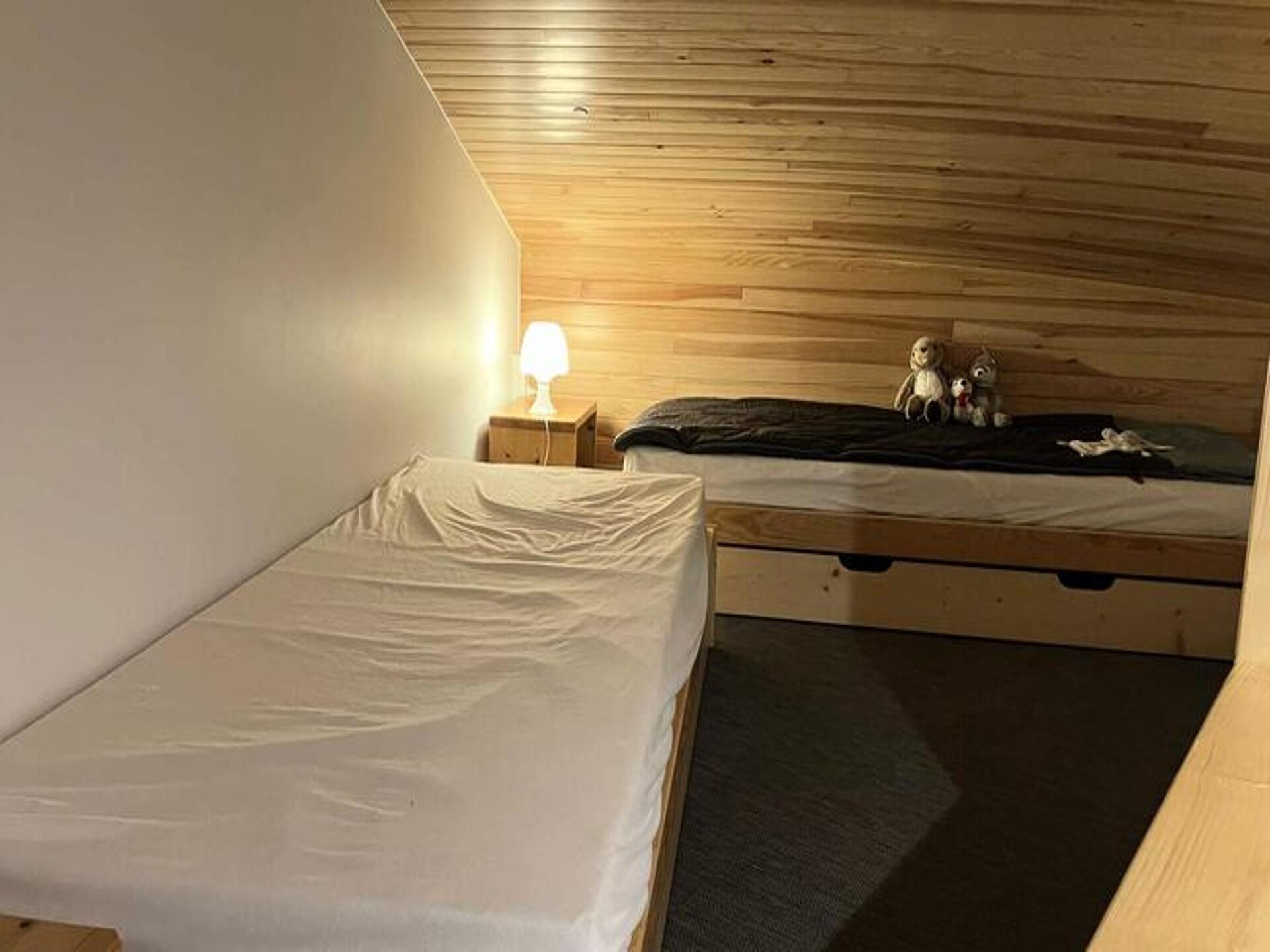 Knus gerenoveerd appartement direct aan de piste in Valmorel - foto 12