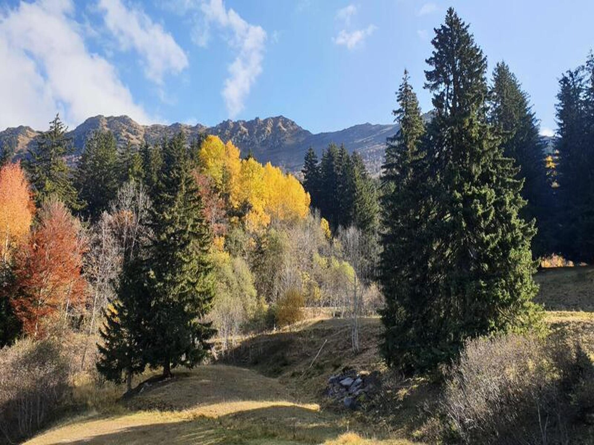 Knus appartement voor 4 personen, 2 minuten van de piste in Les Avanchers Valmorel - foto 11