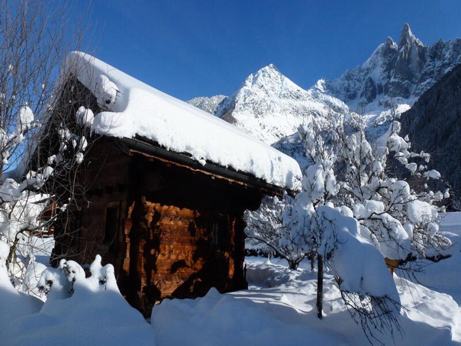 Gezellig appartement met Mont Blanc uitzicht in Chamonix - foto 28