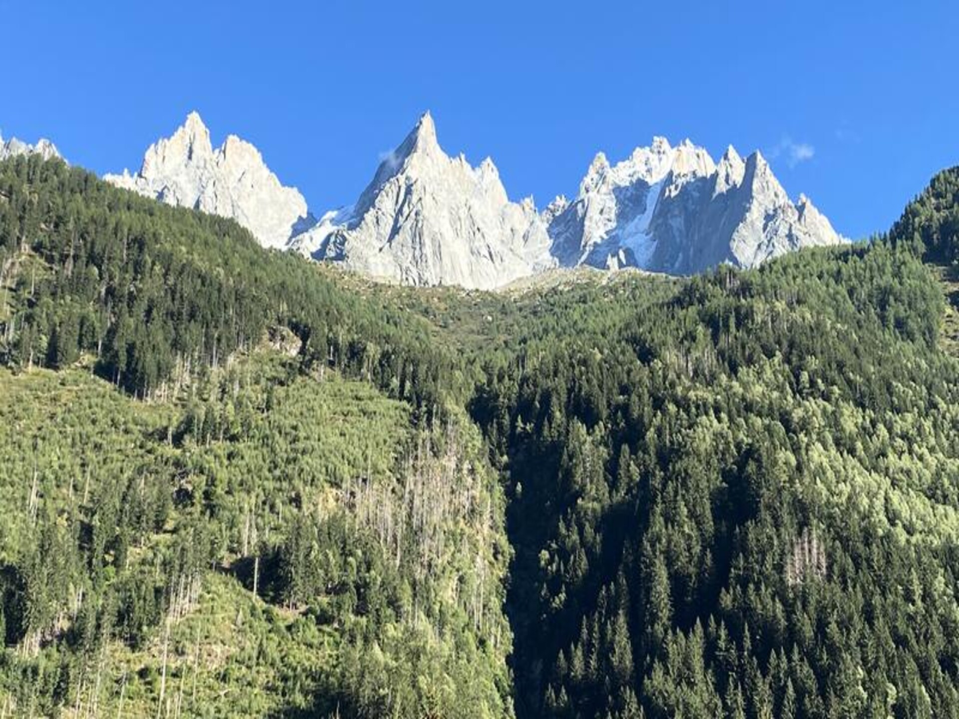 Authentiek appartement in Chamonix met uitzicht op de Mont Blanc - foto 22
