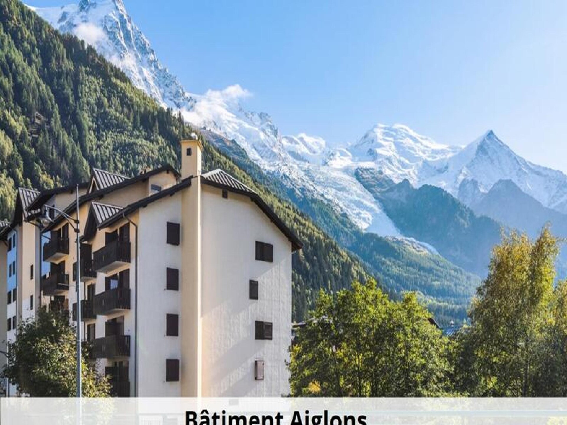 Knus appartement op 100m van Aiguille du Midi met Mont Blanc zicht - foto 26