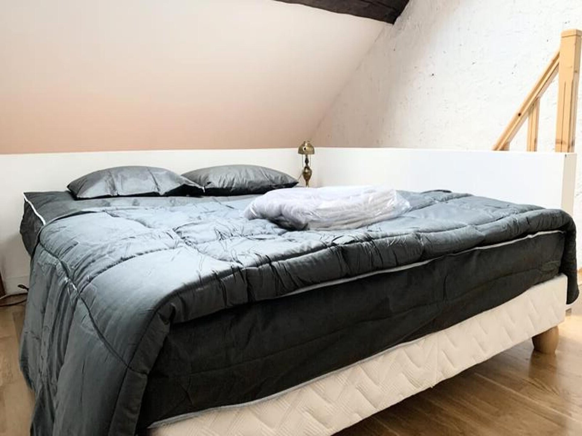 Historisch appartement met mezzanine in hartje Grenoble, vlakbij Place Vaucanson - foto 8