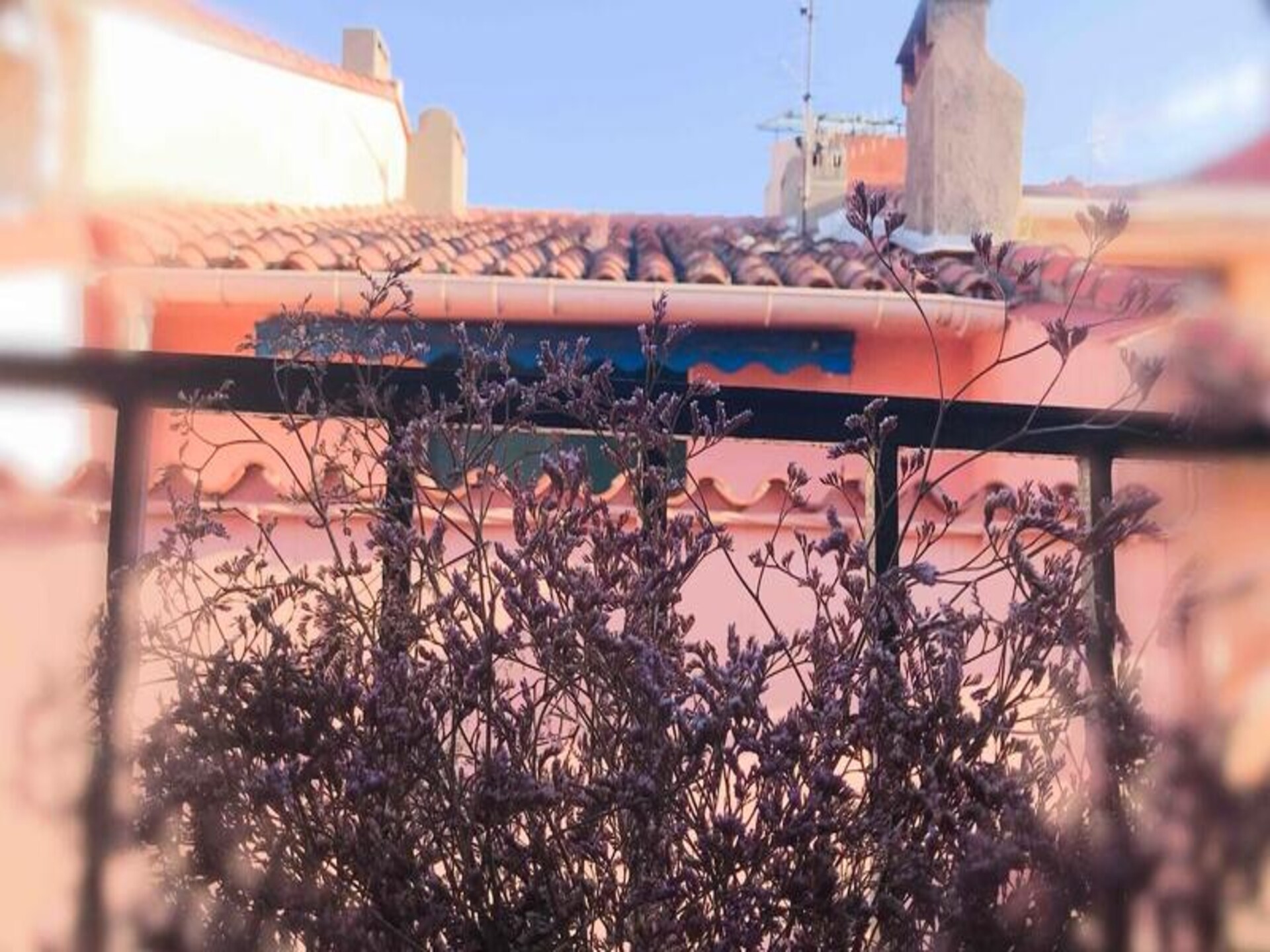 Historisch appartement in hartje Collioure, vlakbij strand - foto 90
