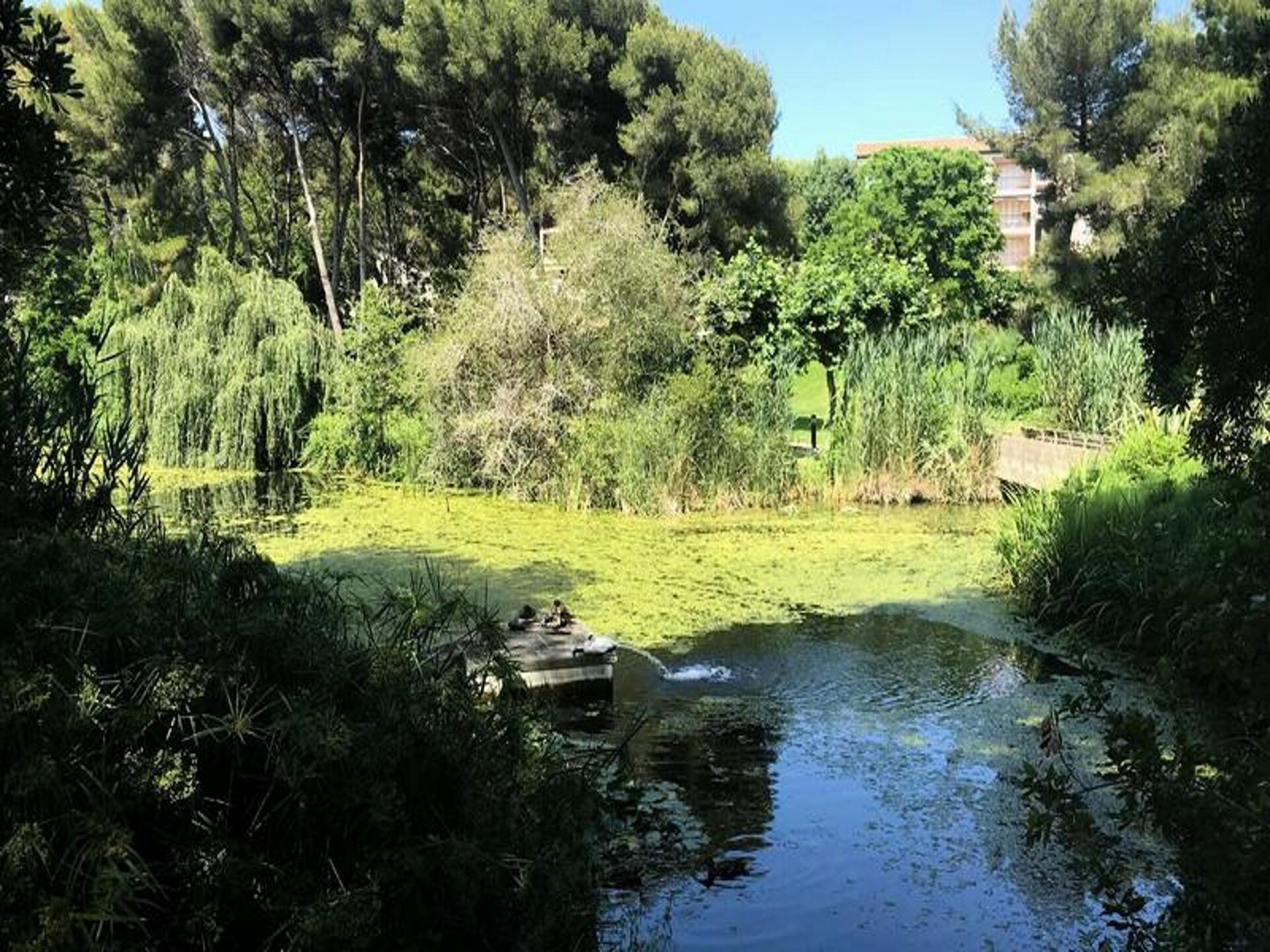 Licht appartement op loopafstand van strand in Six Fours les Plages - foto 9