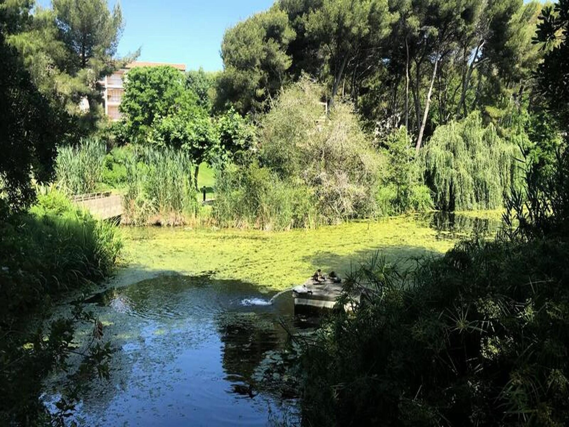 Licht appartement op loopafstand van strand in Six Fours les Plages - foto 19