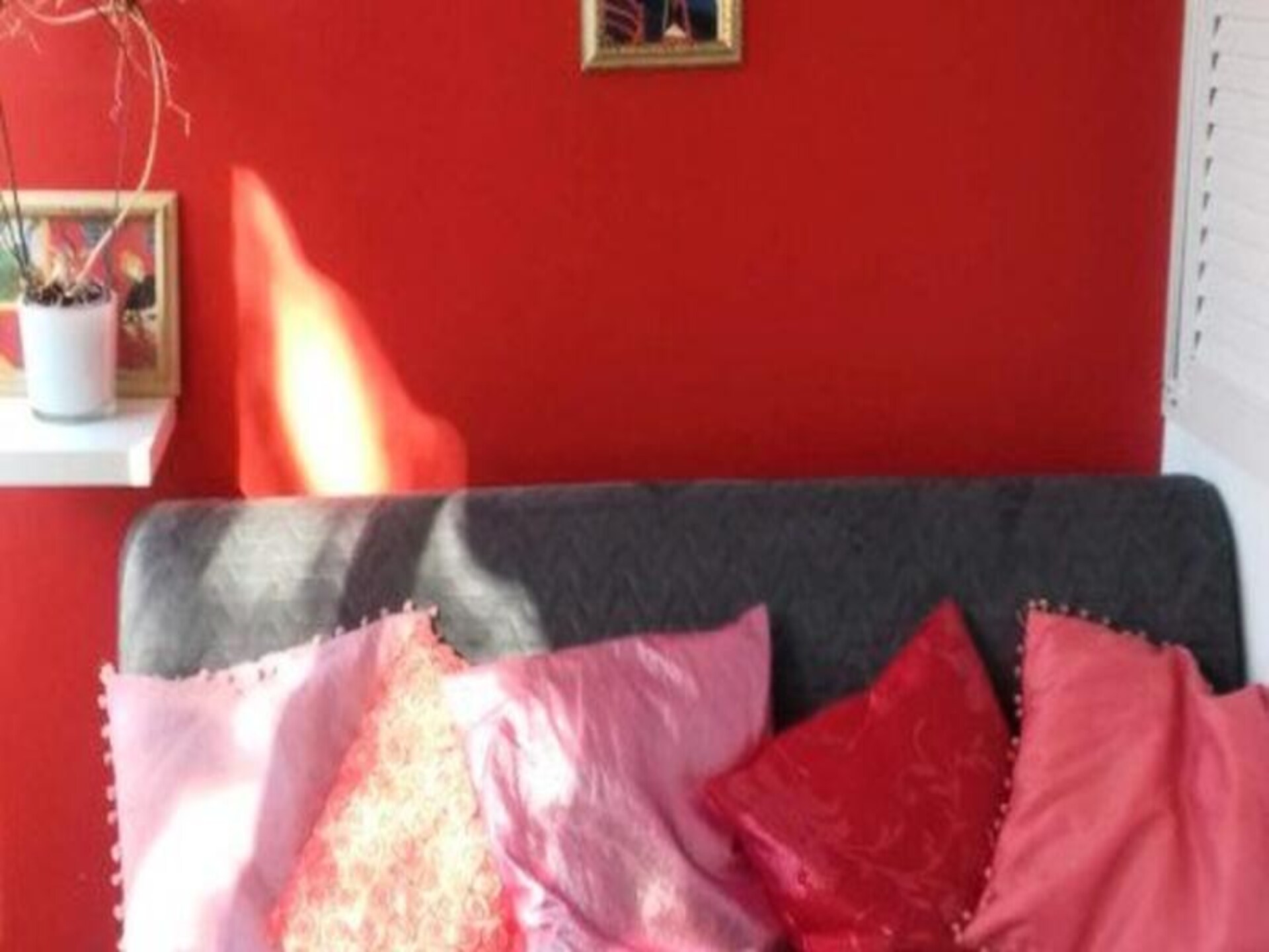 Licht appartement met privétuin en zwembad, op 100 meter van zee - foto 3