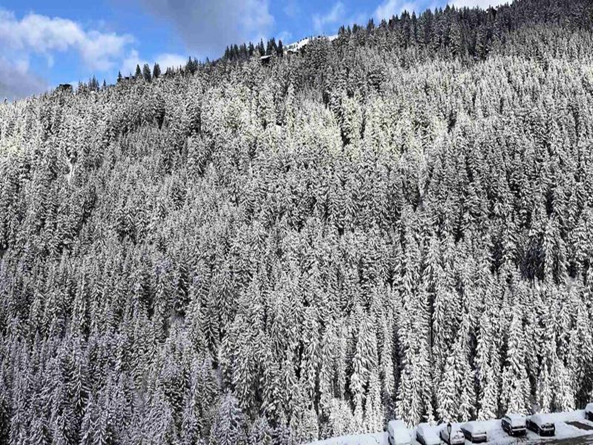 Ruim 5-persoons appartement met bergzicht nabij de gondel in St Bon Tarentaise - foto 28