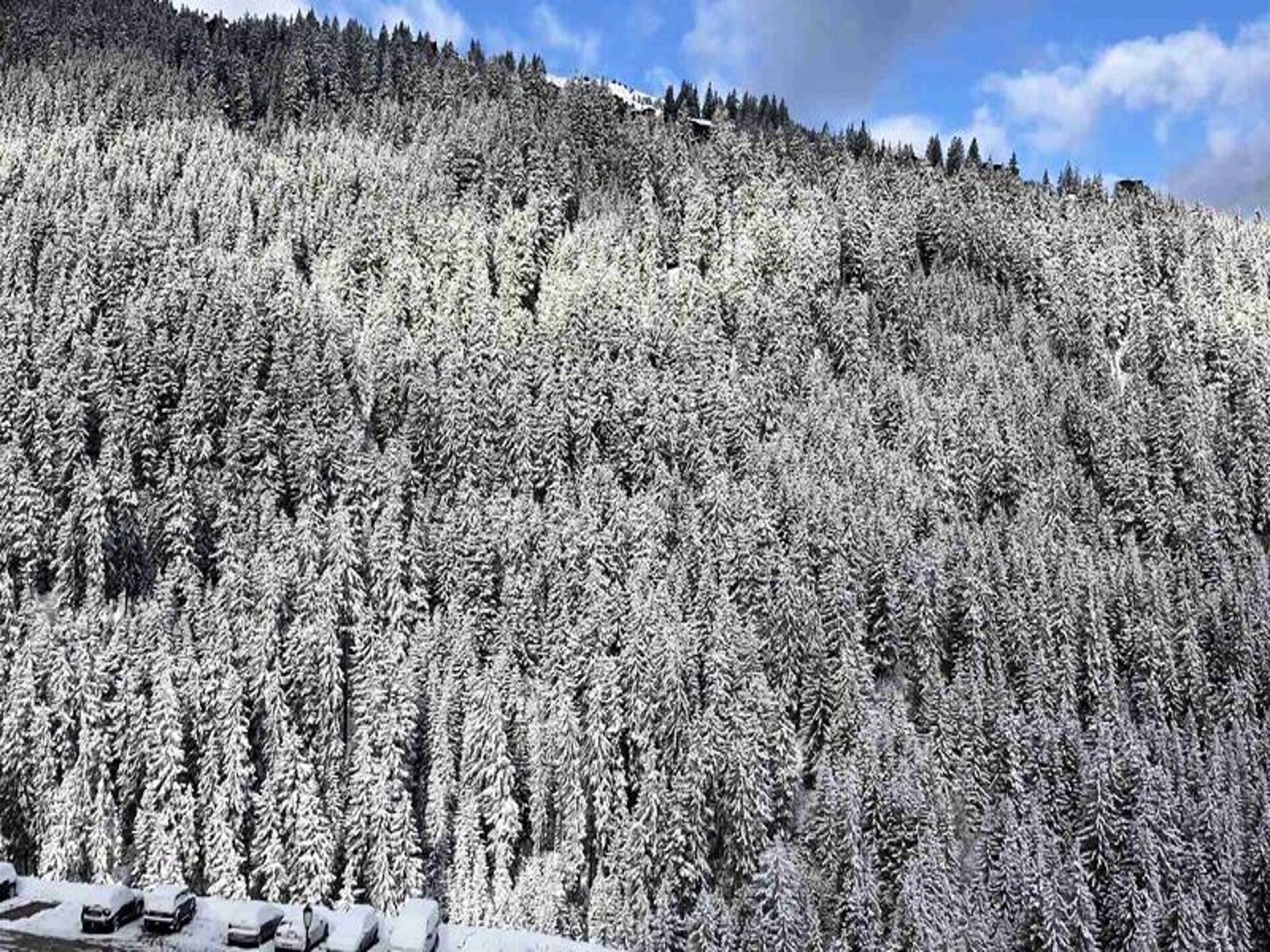Ruim 5-persoons appartement met bergzicht nabij de gondel in St Bon Tarentaise - foto 29