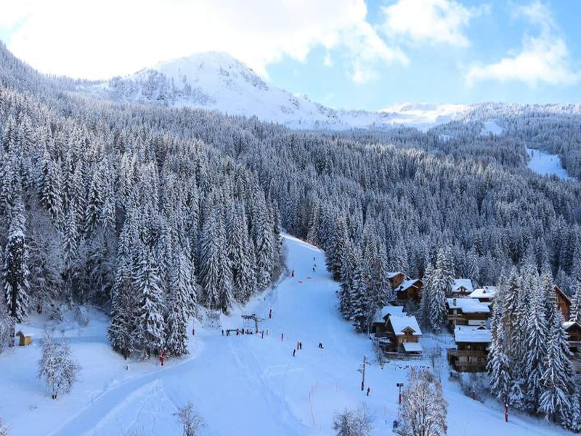 Knus appartement aan de piste in La Tania, 4 personen - foto 18