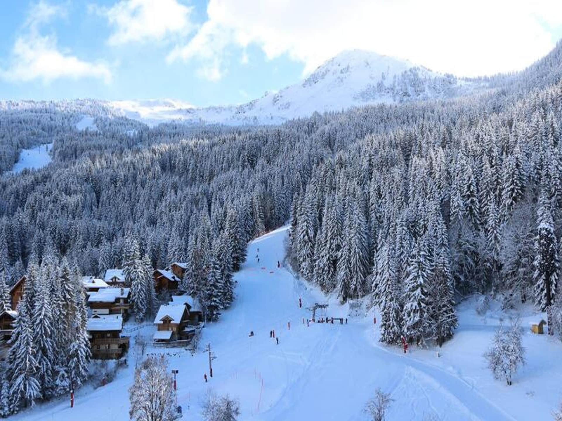 Knus appartement aan de piste in La Tania, 4 personen - foto 30