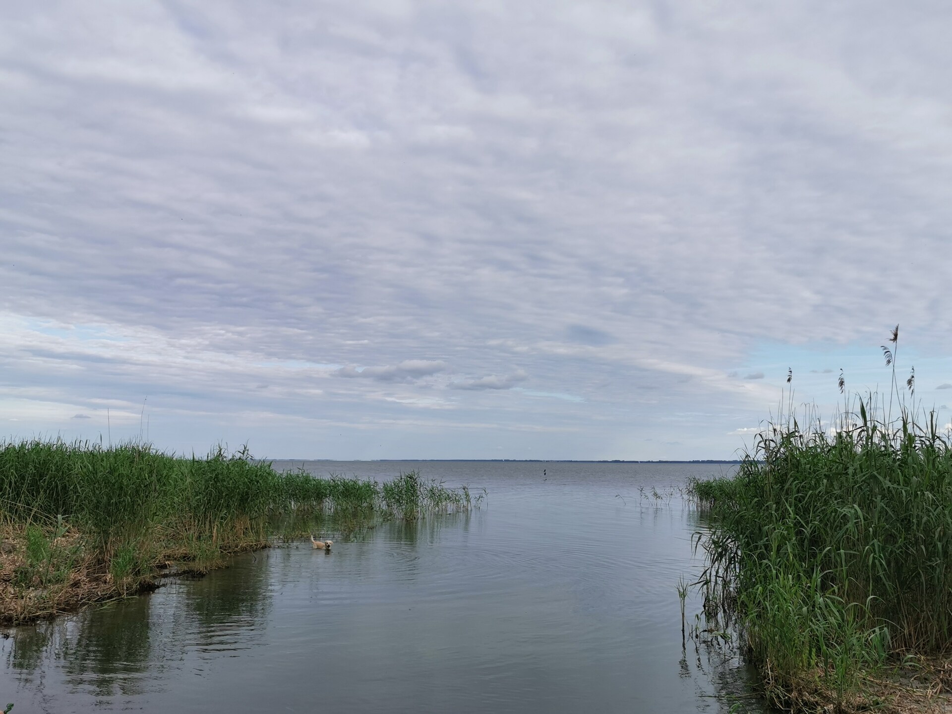 Rustiek zolderappartement aan het meer op Usedom, 100m van steiger - foto 27