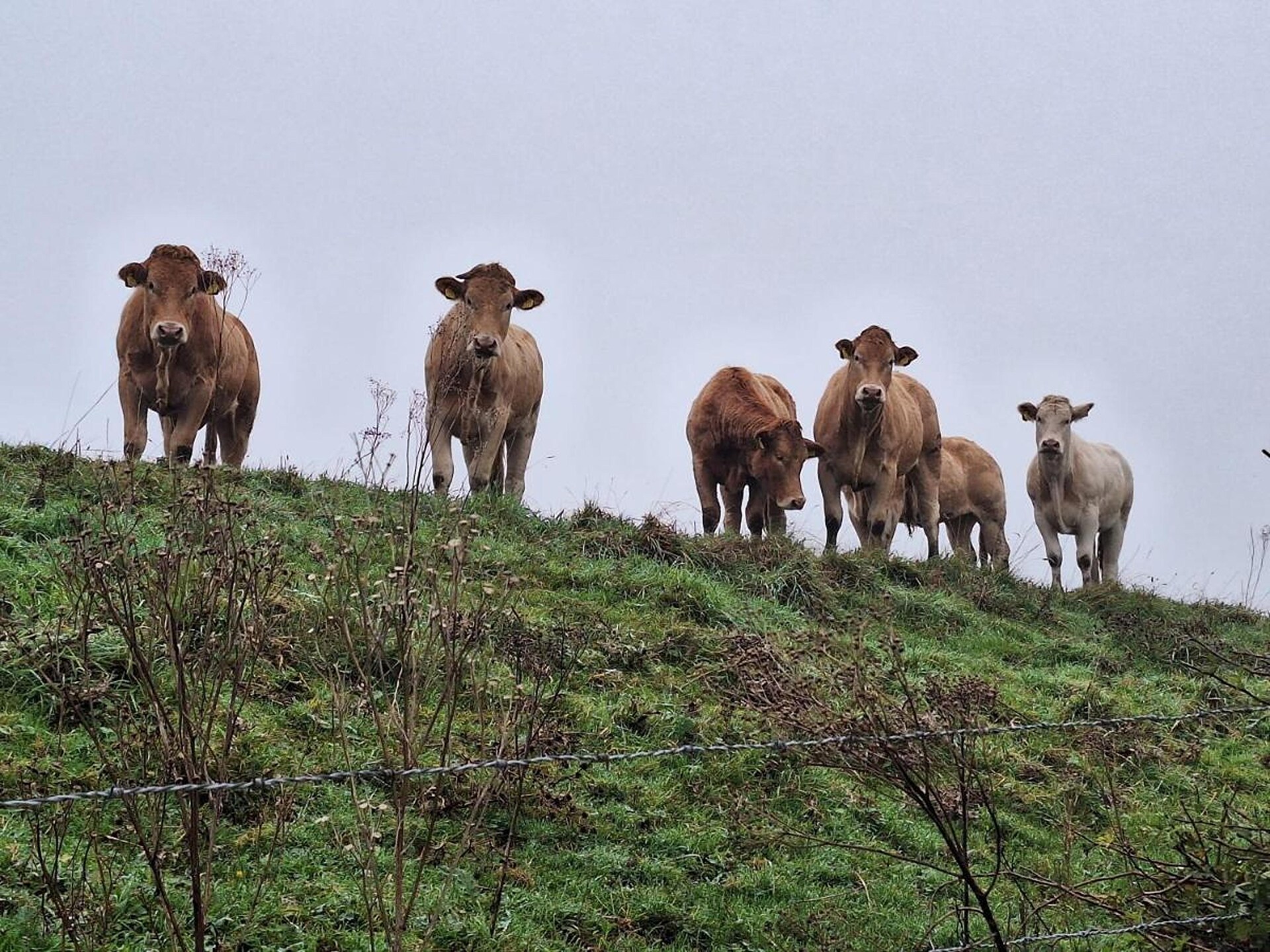 B&B de Gouwe Tijd: Duurzaam genieten in hartje Zeeland - foto 12