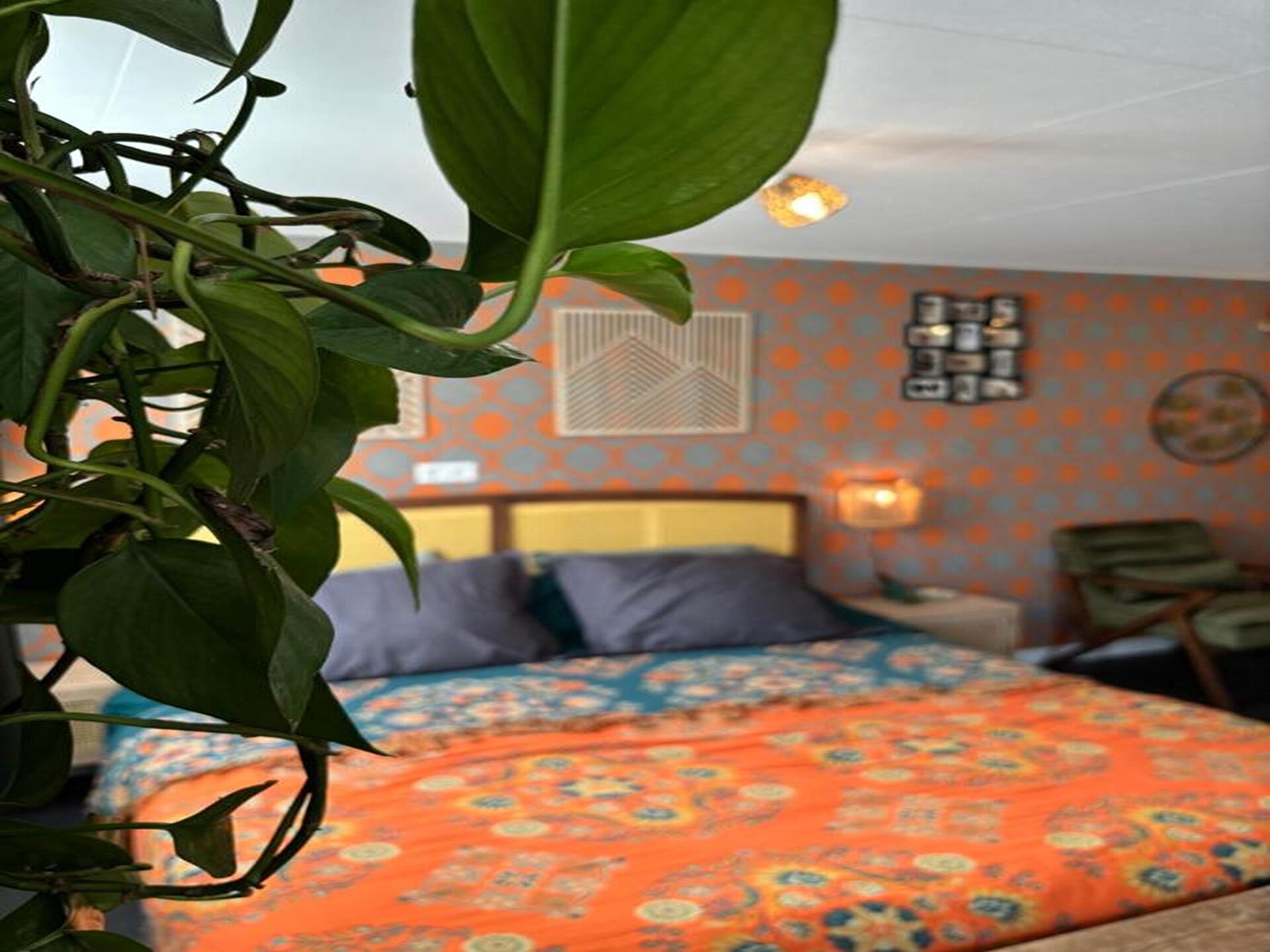 B&B de Gouwe Tijd: Duurzaam genieten in hartje Zeeland - foto 8