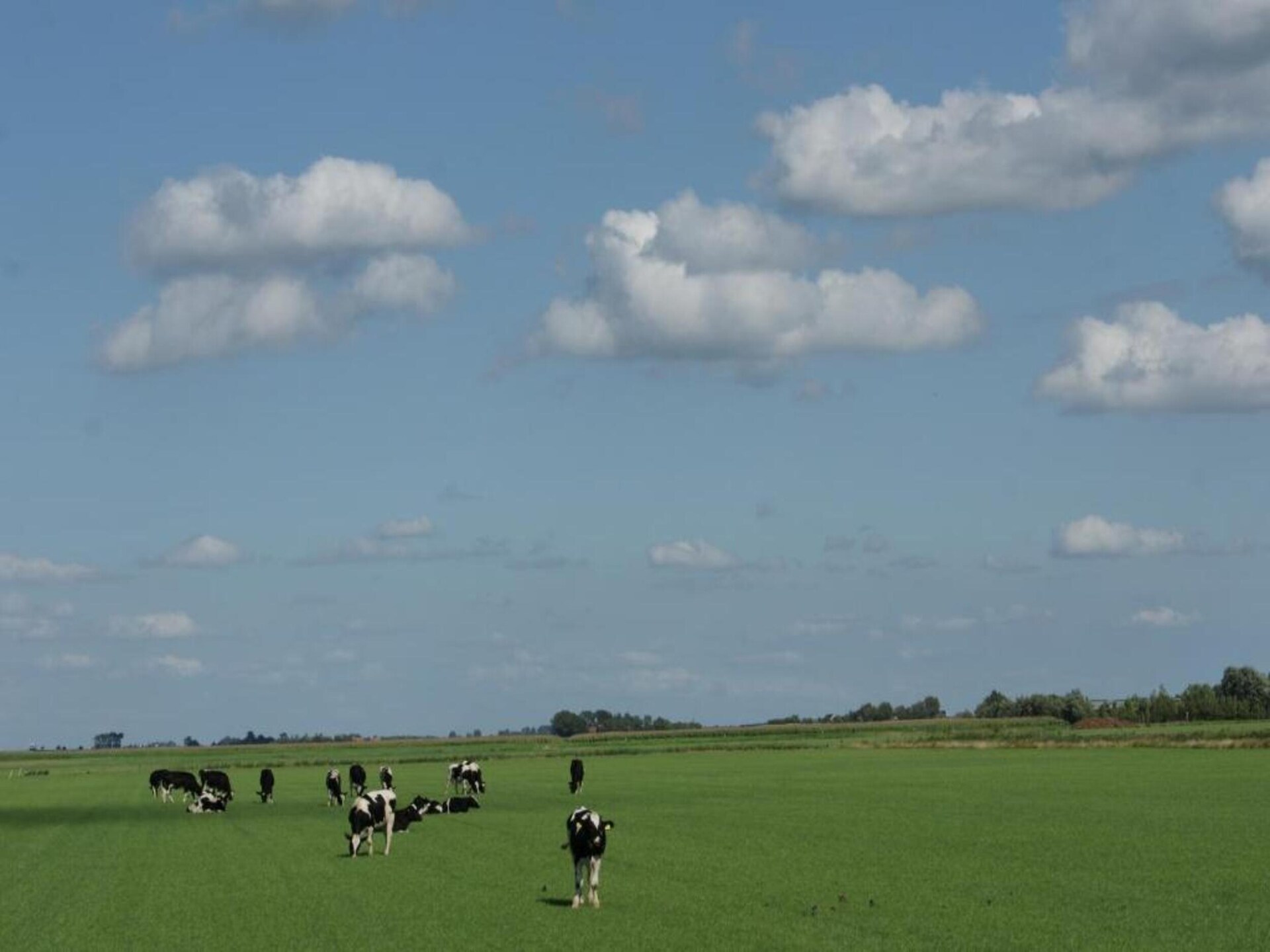 B&B de Gouwe Tijd: Duurzaam genieten in hartje Zeeland - foto 15