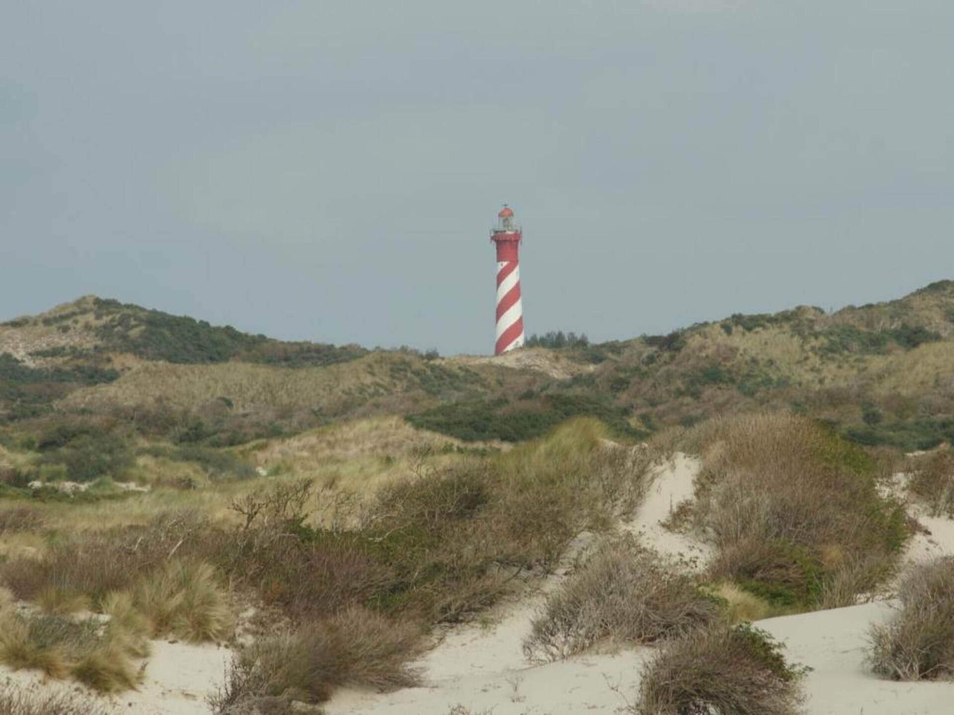 B&B de Gouwe Tijd: Duurzaam genieten in hartje Zeeland - foto 17