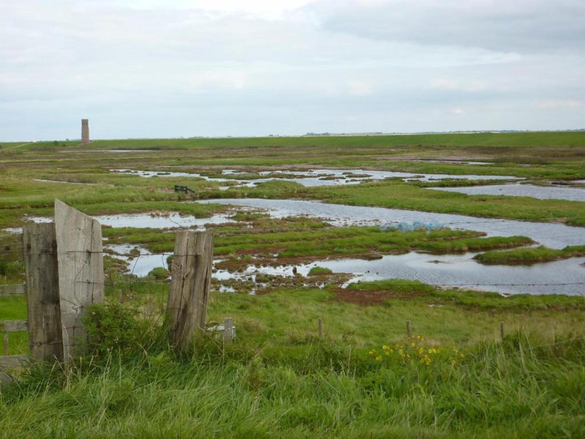 B&B de Gouwe Tijd: Duurzaam genieten in hartje Zeeland - foto 18