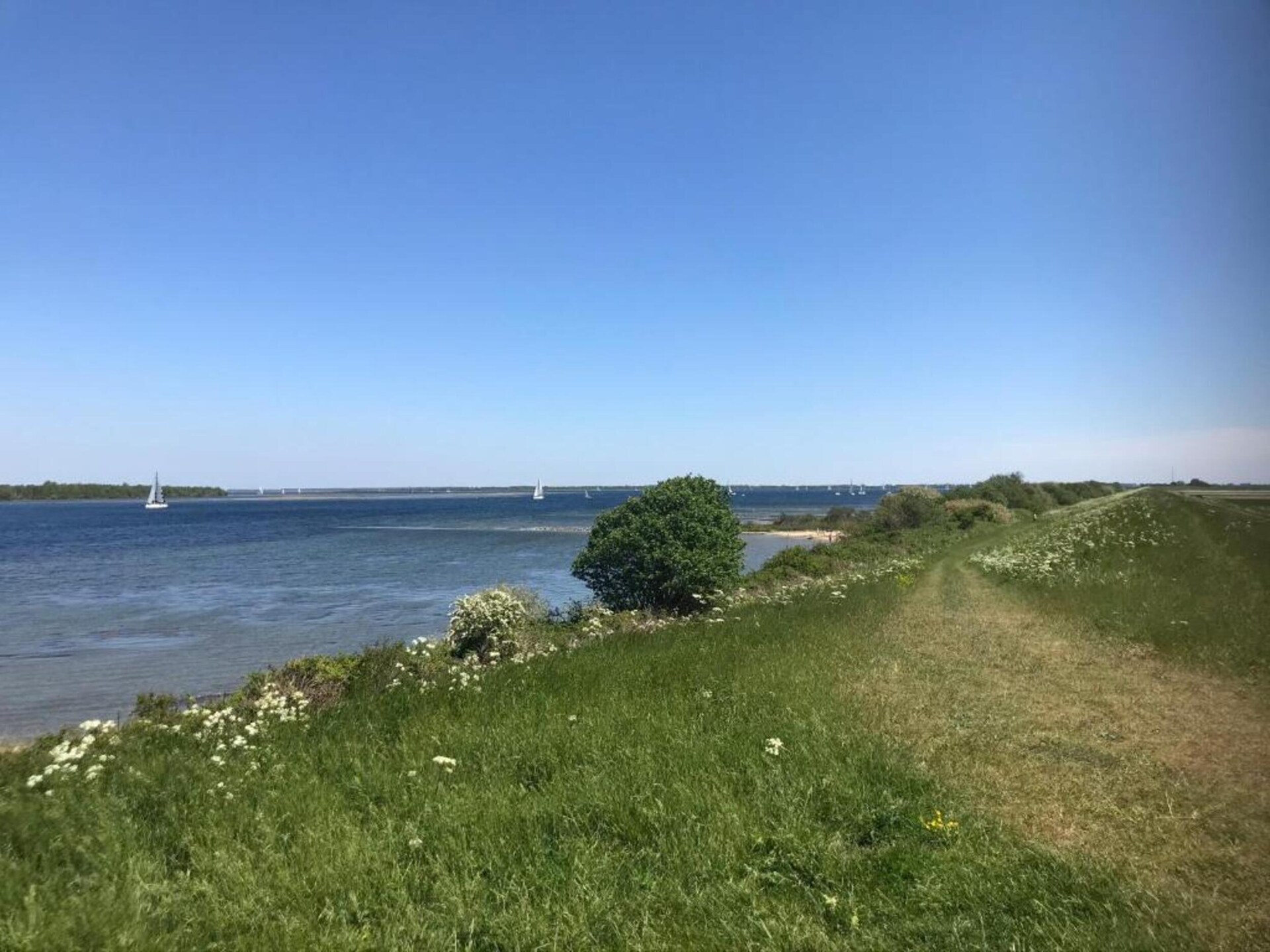 B&B de Gouwe Tijd: Duurzaam genieten in hartje Zeeland - foto 19