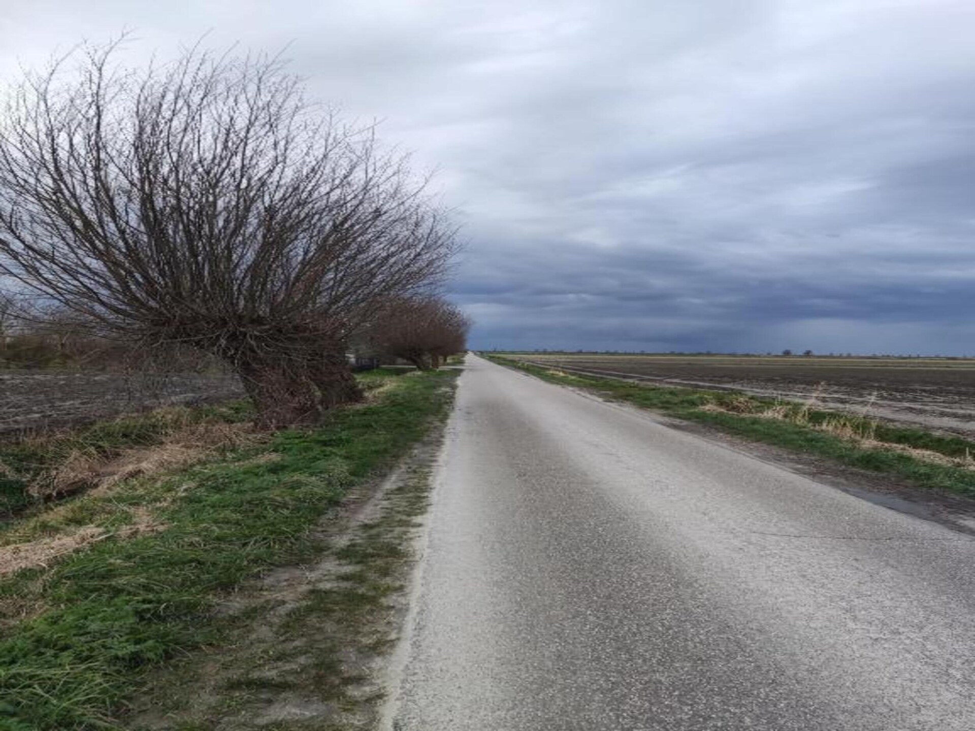 B&B de Gouwe Tijd: Duurzaam genieten in hartje Zeeland - foto 24