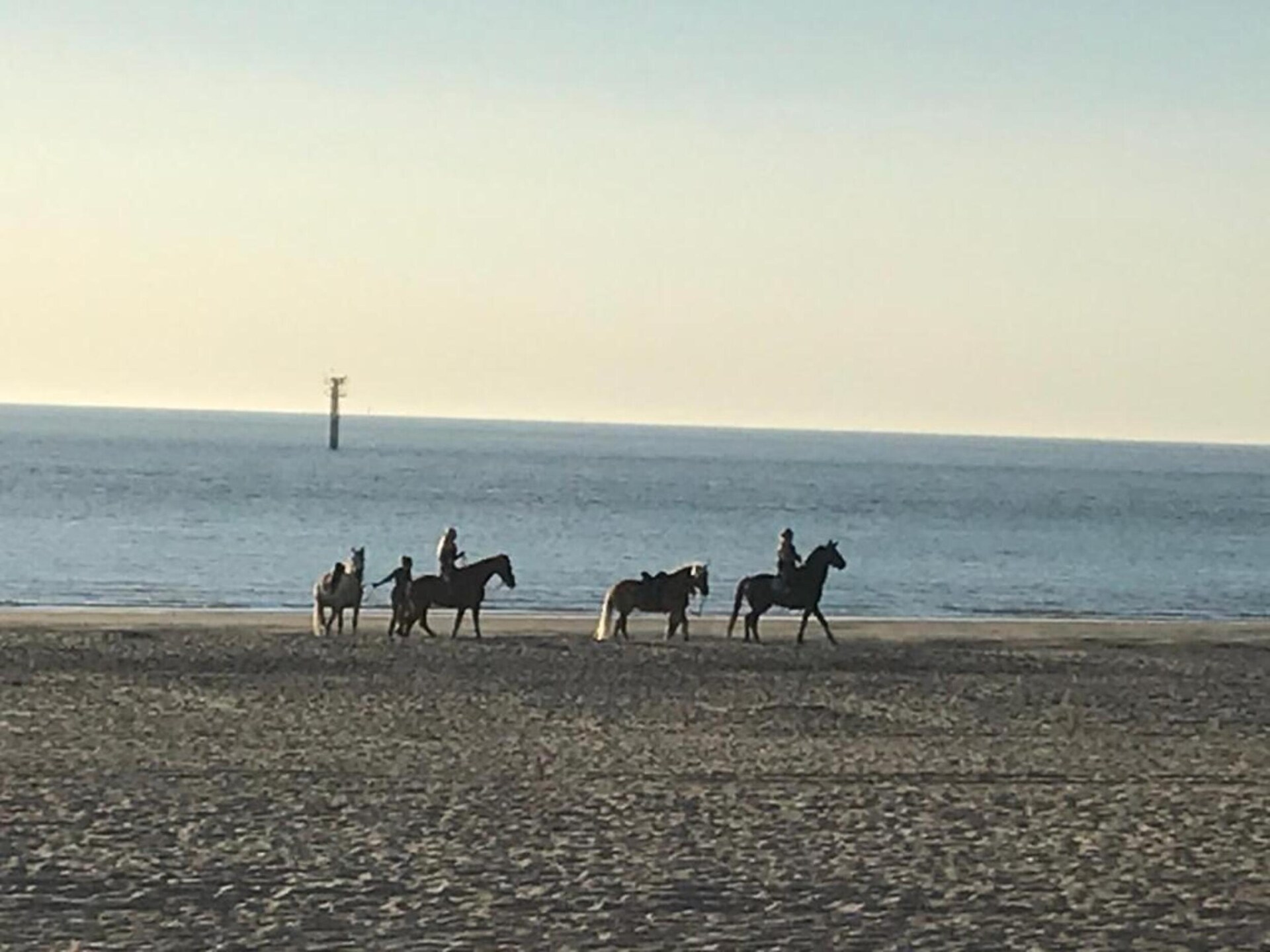 B&B de Gouwe Tijd: Duurzaam genieten in hartje Zeeland - foto 25