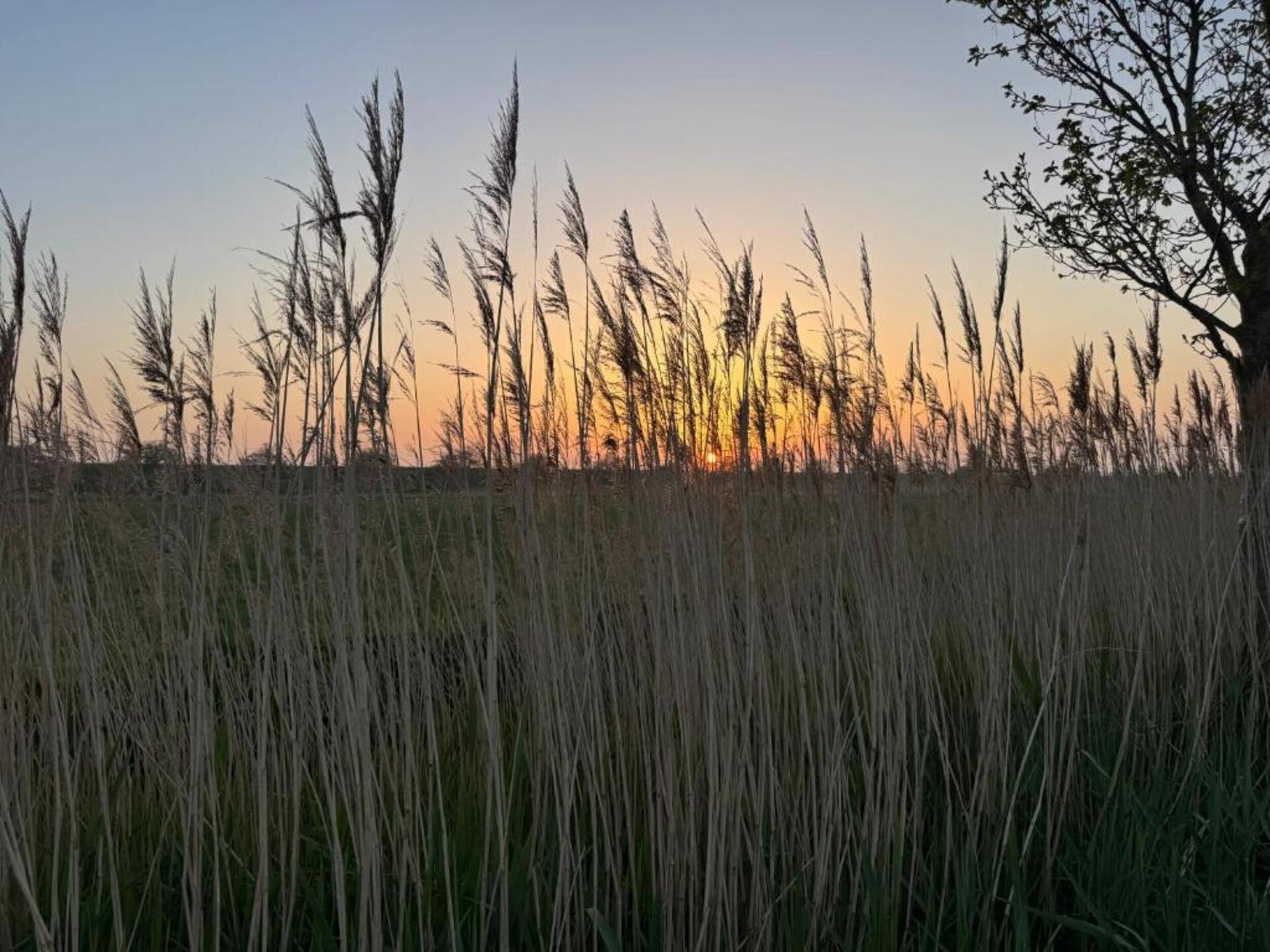 B&B de Gouwe Tijd: Duurzaam genieten in hartje Zeeland - foto 30
