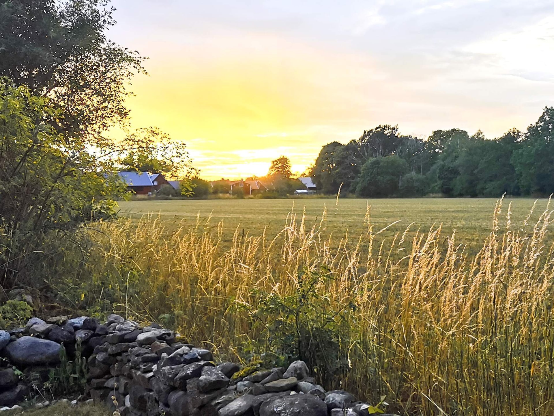 Rustgevend vakantiehuis in het bos van Färjestaden, Öland - foto 7