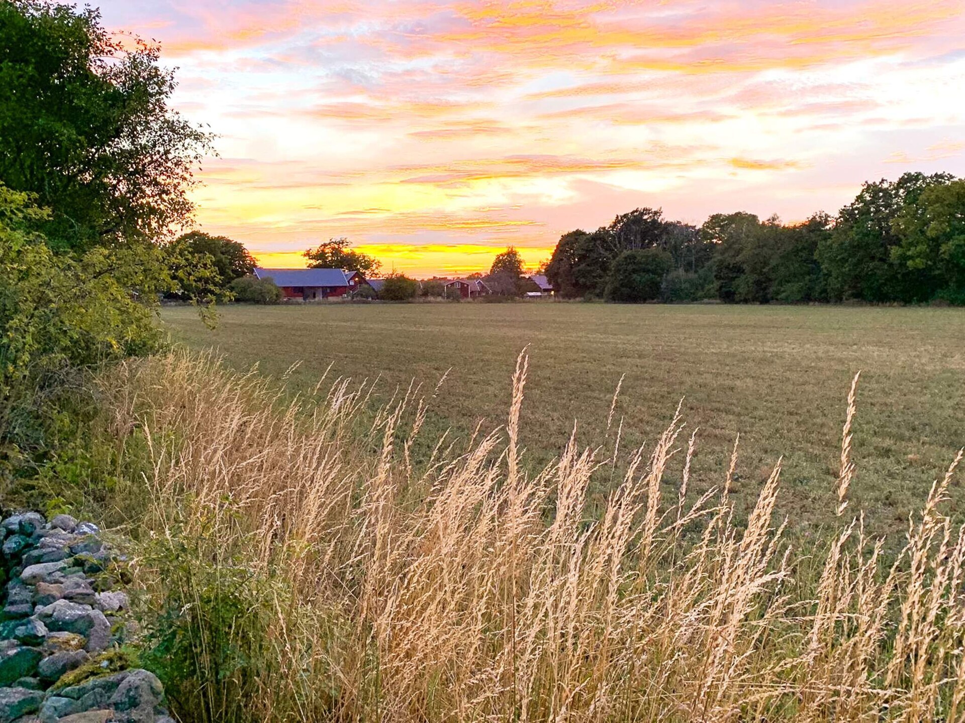 Rustgevend vakantiehuis in het bos van Färjestaden, Öland - foto 8