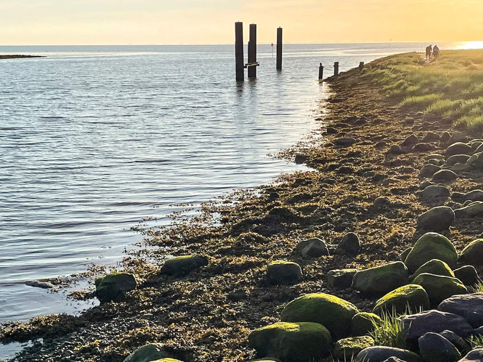 2-persoons vakantiehuis aan zee in Højer - foto 19