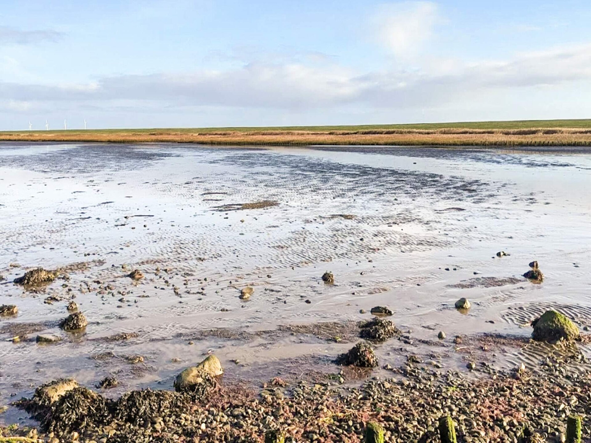 Knus vakantiehuis voor 2 met whirlpool en uitzicht op de Waddenzee bij Højer - foto 6