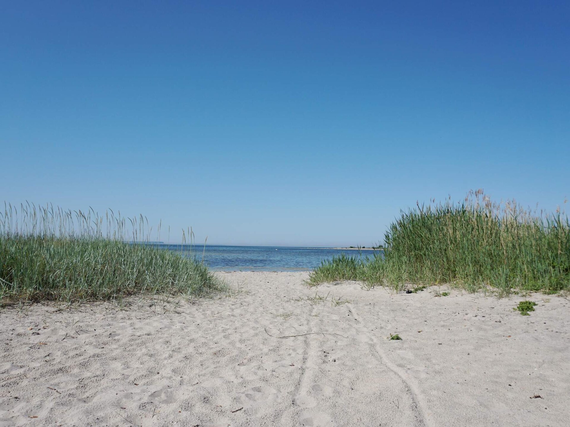 Charmant vakantiehuis op Gotland bij golfbaan, vlakbij zee - foto 8