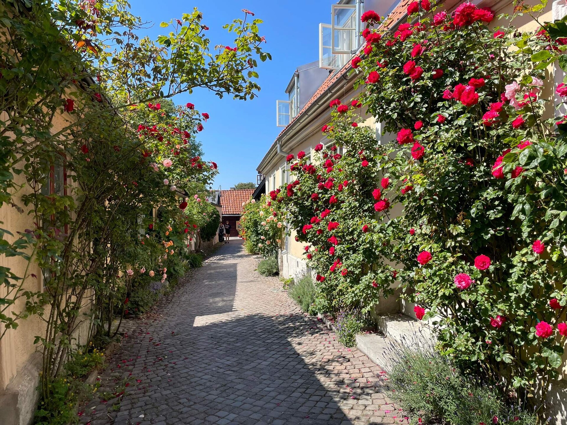 Charmant vakantiehuis op Gotland bij golfbaan, vlakbij zee - foto 10