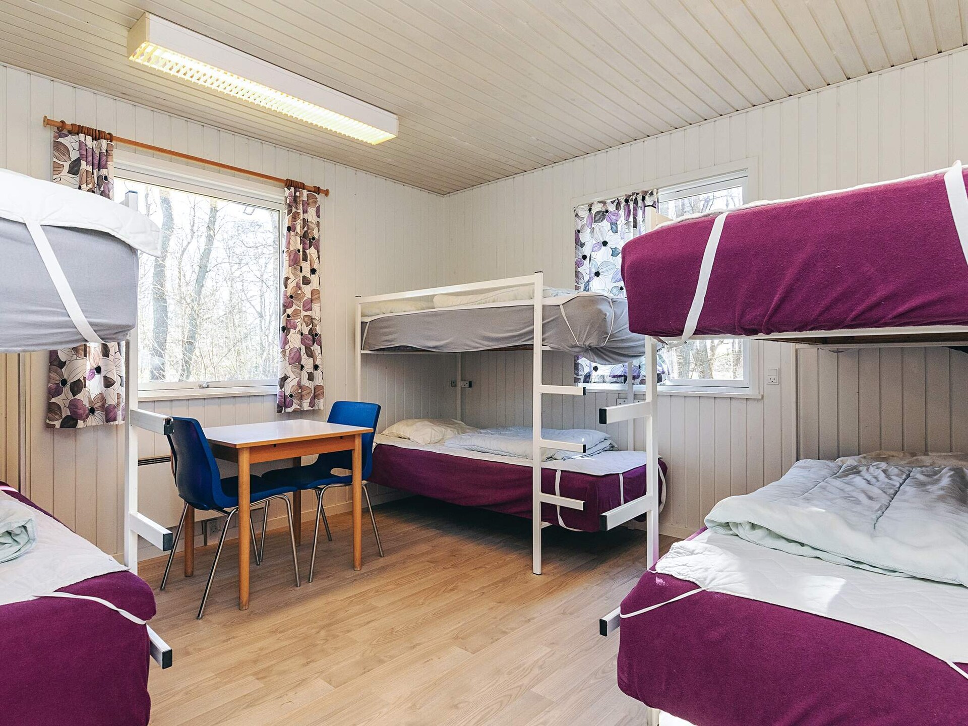 Læsø Ly: knus verblijf voor 6 personen op Deens eiland - foto 17