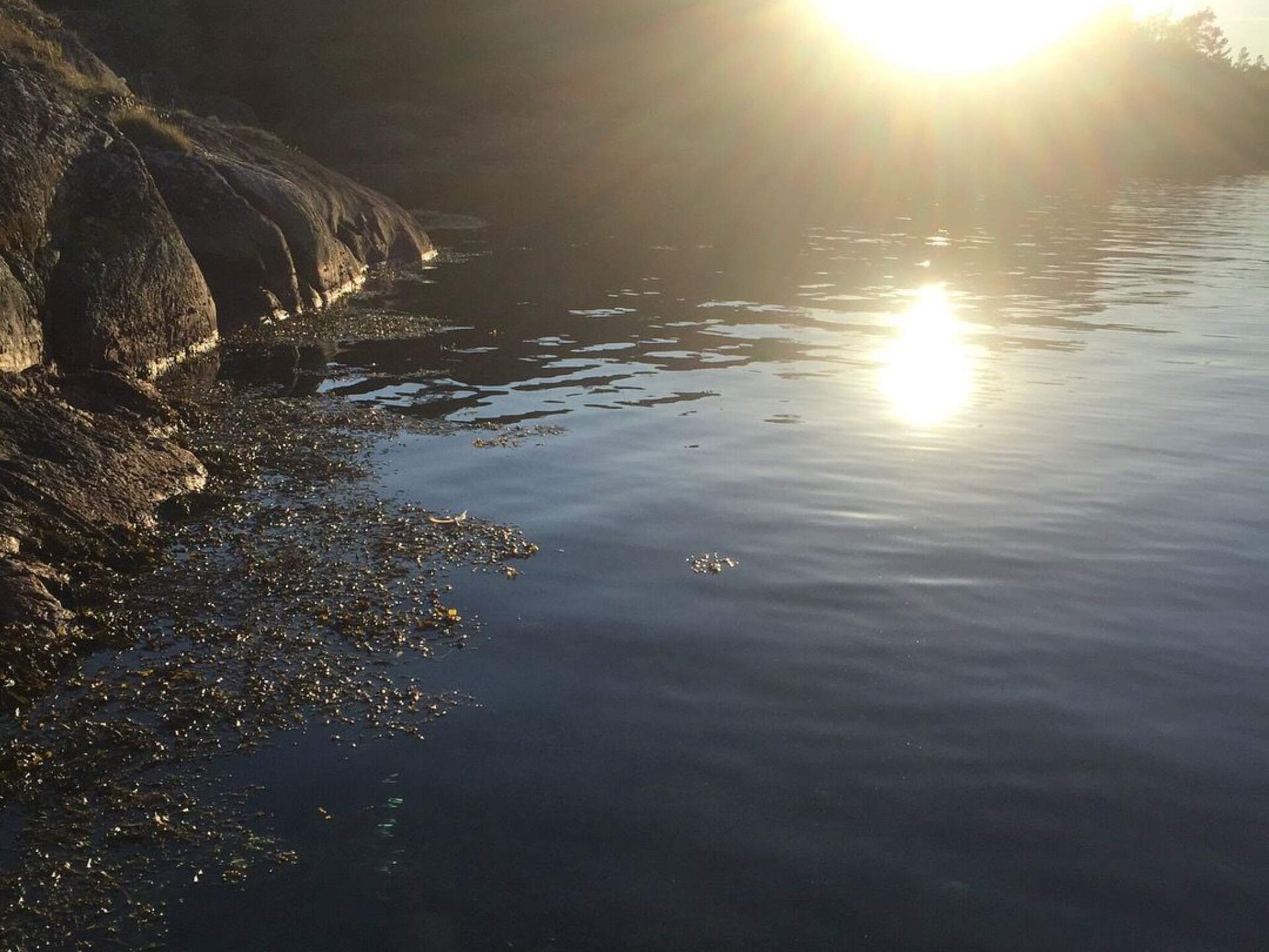 Vrijstaand vakantiehuis op 50m van zee met weids uitzicht op Koön, Marstrand - foto 8
