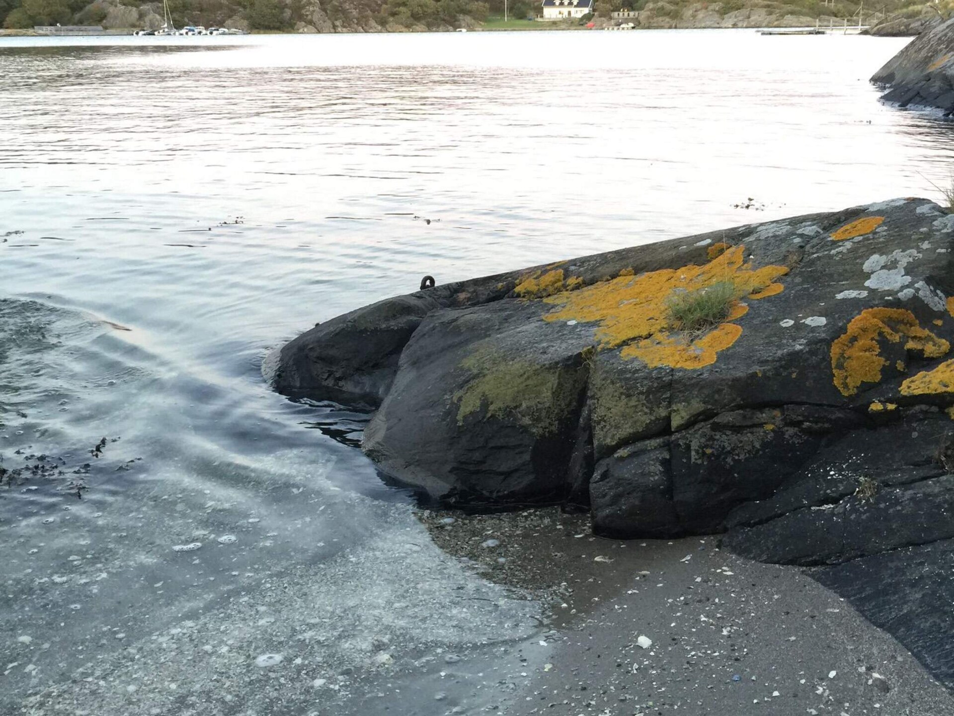 Vrijstaand vakantiehuis op 50m van zee met weids uitzicht op Koön, Marstrand - foto 6