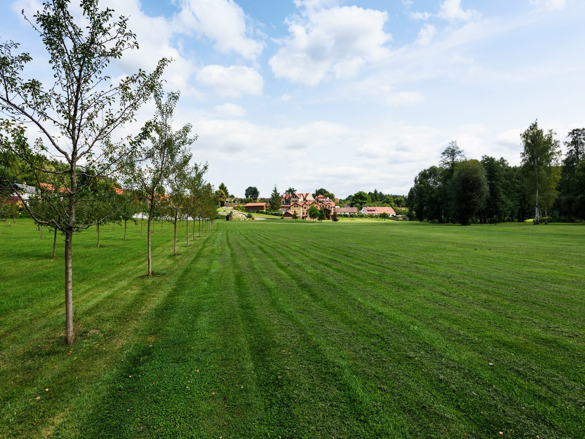 Golfvilla Orlík aan het water in Varvažov, Midden-Bohemen - foto 13