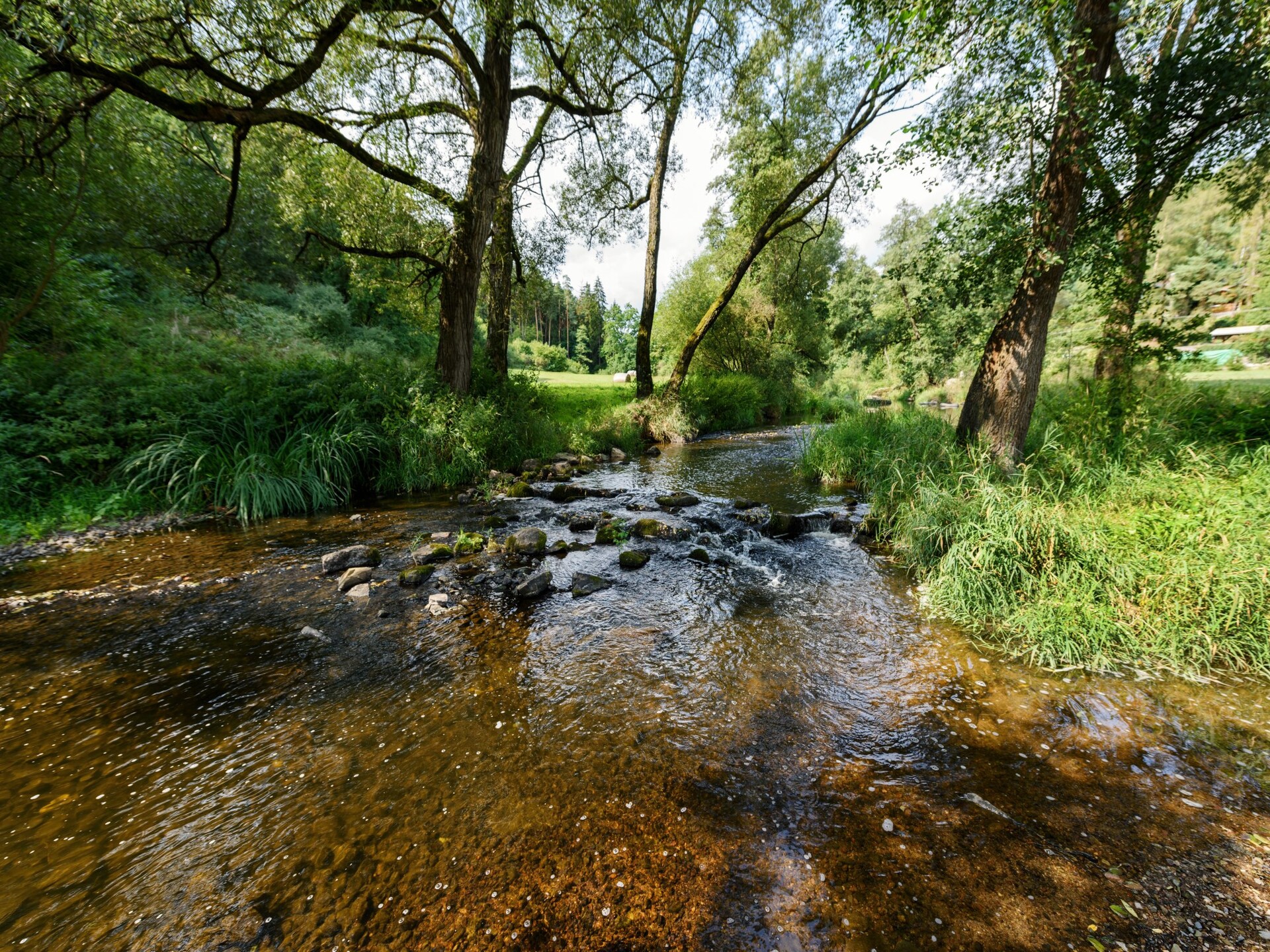 Golfvilla Orlík aan het water in Varvažov, Midden-Bohemen - foto 21